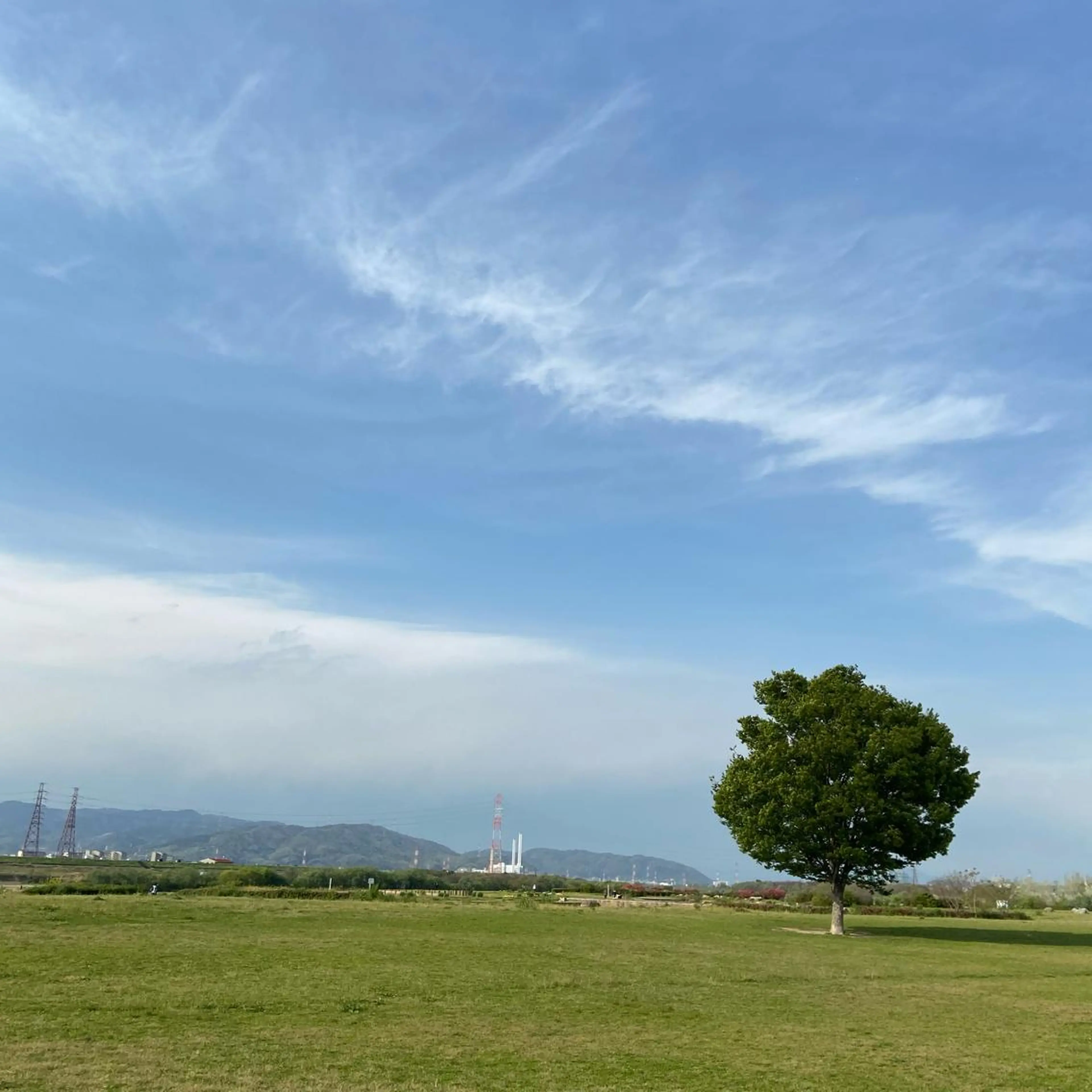 TIDEHAIR SHIHOのヘアスタイル