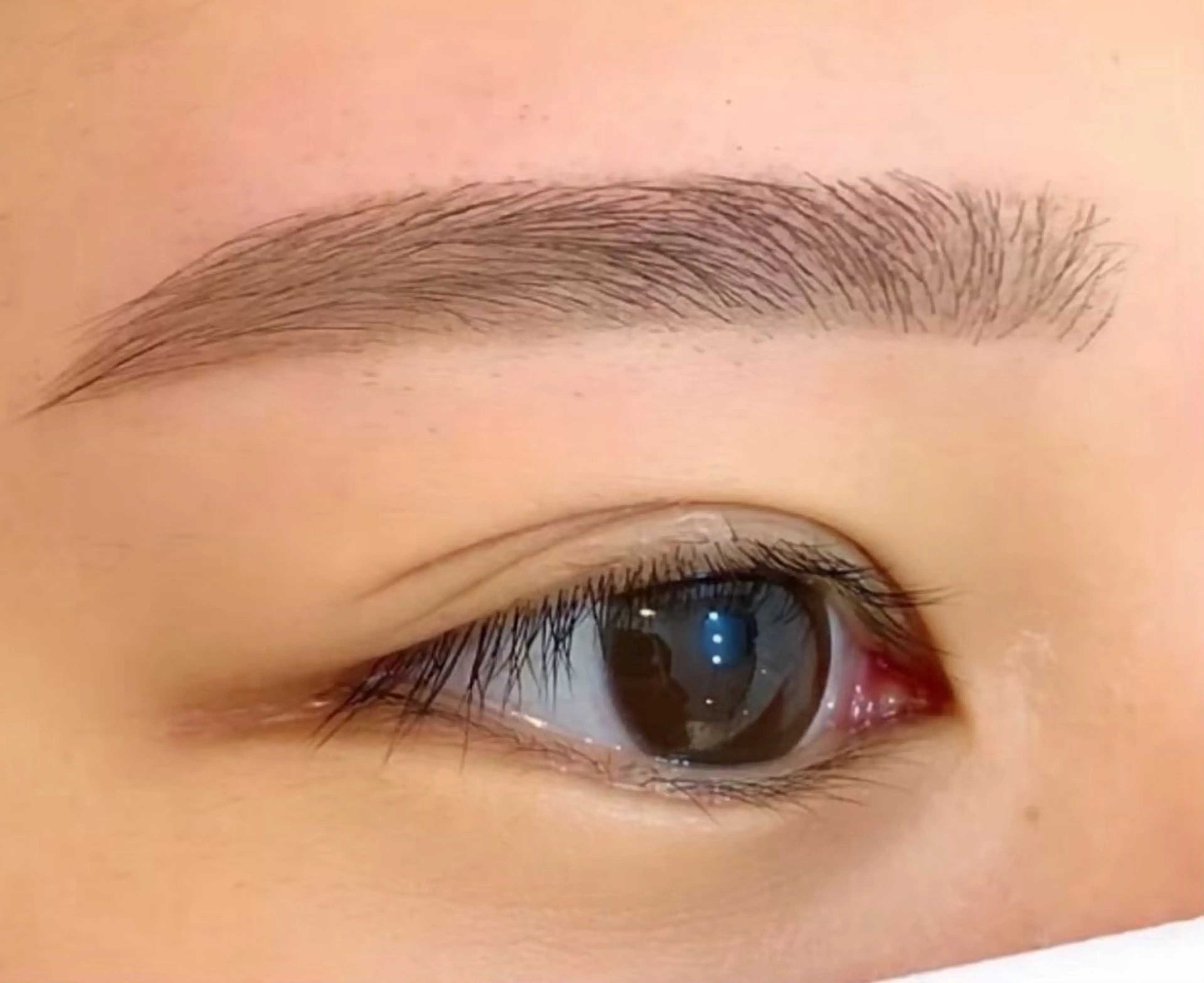 アイブロウ ワックス脱毛 その他(アイブロウ) EAGLE八王子店 あいかの眉毛・アイブロウイメージ