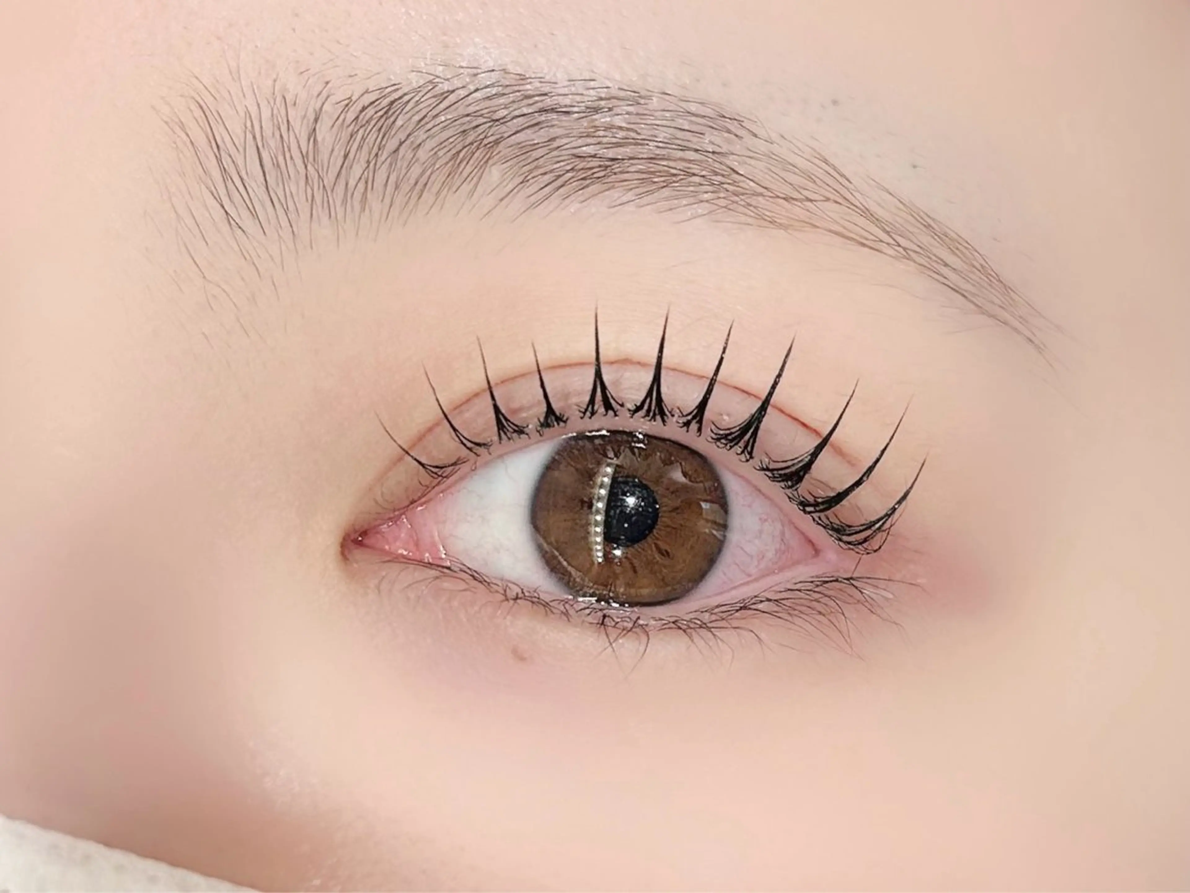 期間限定価格🩵🩵《韓国風束感🌼》クラウンラッシュリフト（コーティング付き）の写真