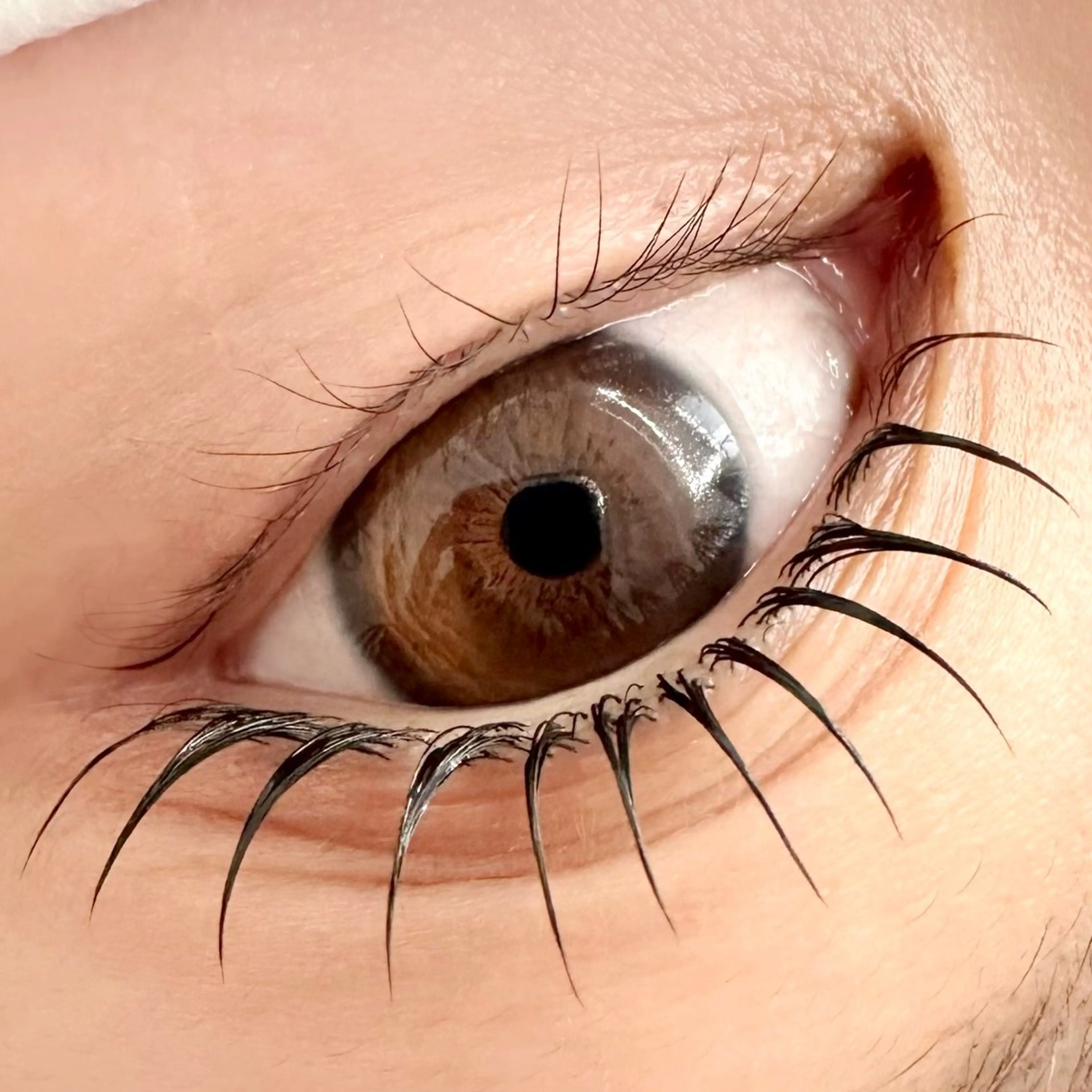 マツエク・マツパ まつげパーマ THE ART所属・THE ART 宜野湾のマツエク・マツパデザイン