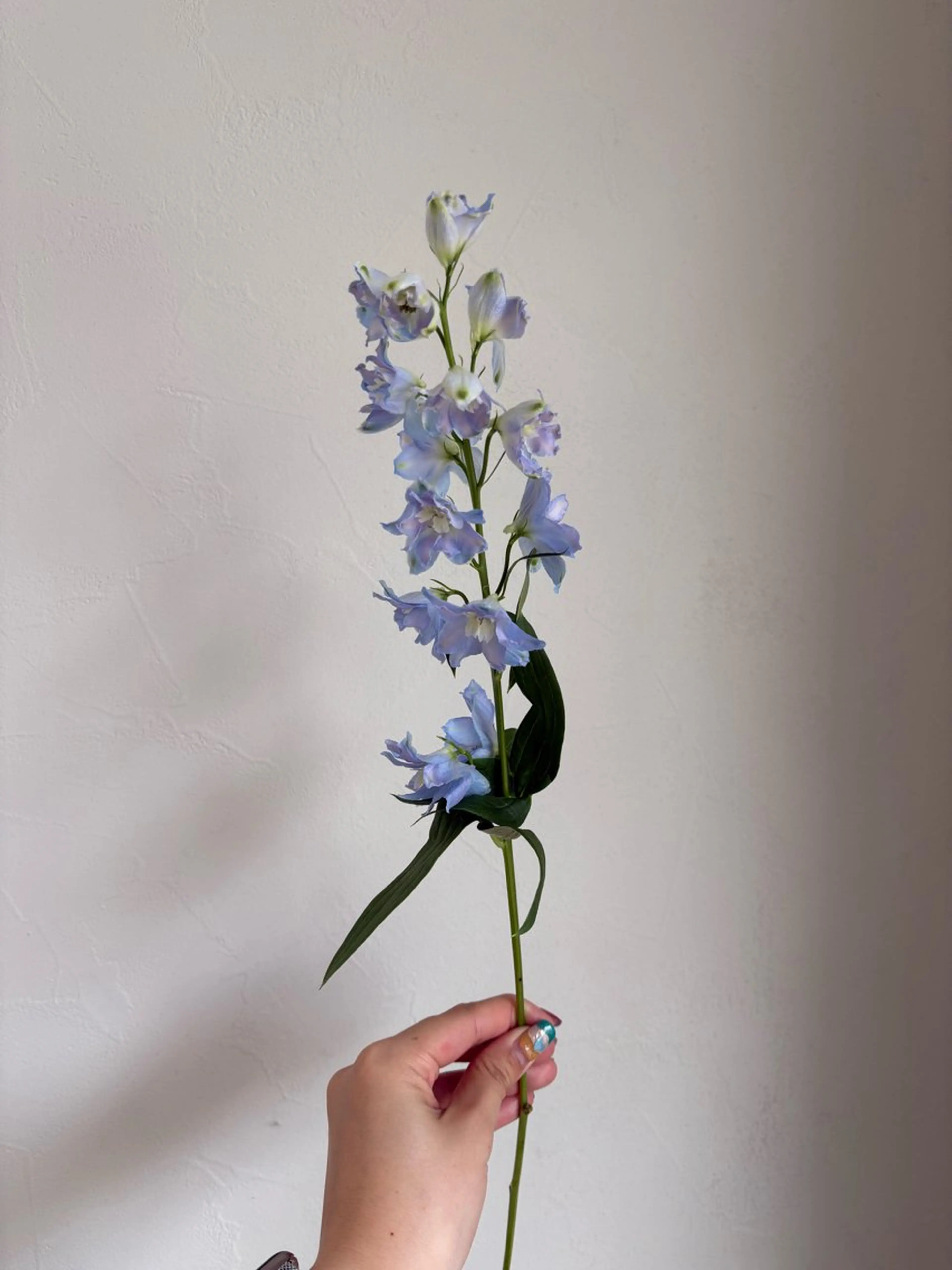 カット ヘアカラー トリートメント 🪻花屋併設🪻秀島 有紀のヘアスタイル