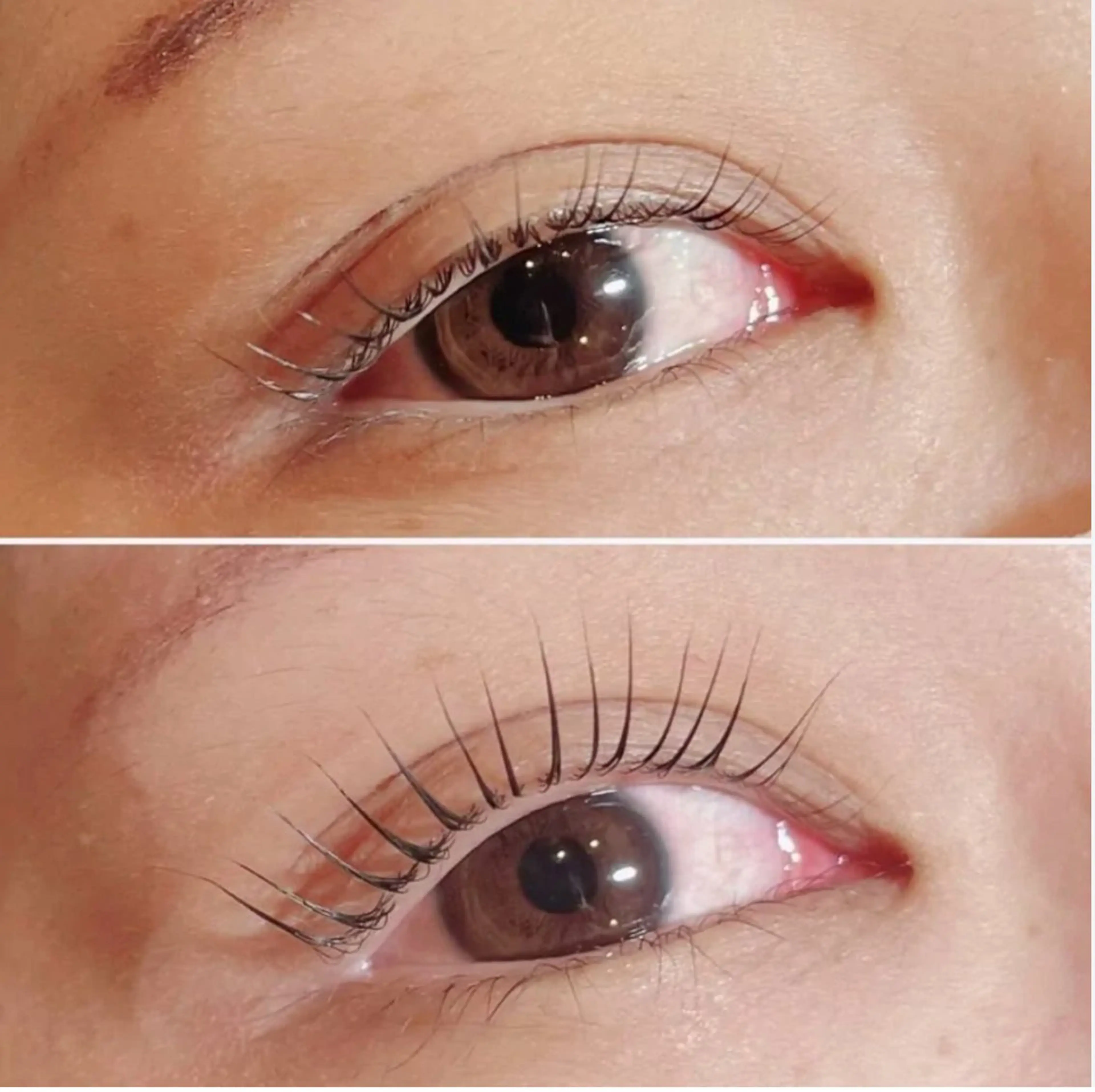 【新規限定👀✨】ダメージレス⭐️ケラチンリフトをお試しできるチャンス💎マスカラコーティングプレゼント🎁の写真