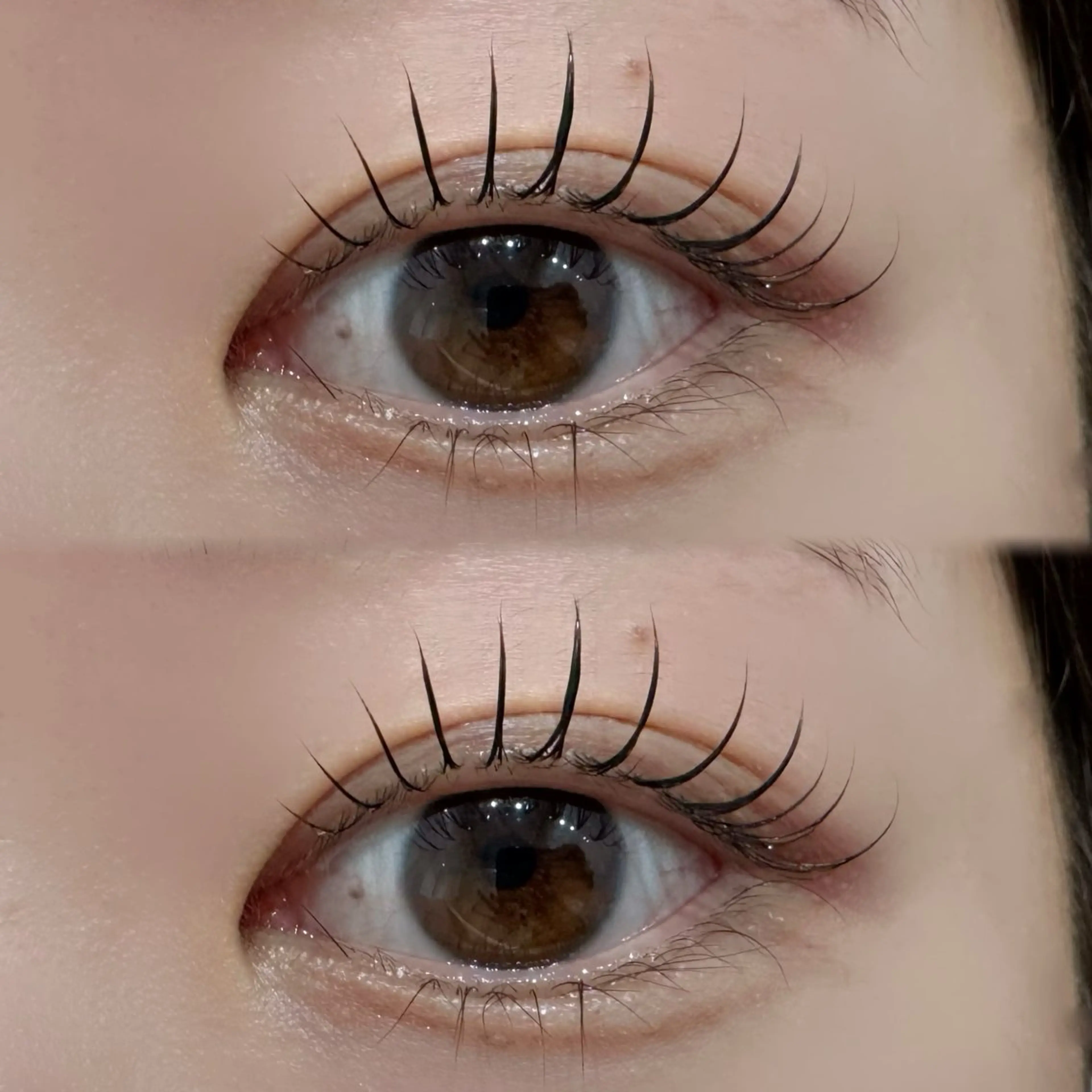 マツエク・マツパ マツパ Chaton KANAGAWAのマツエク・マツパデザイン