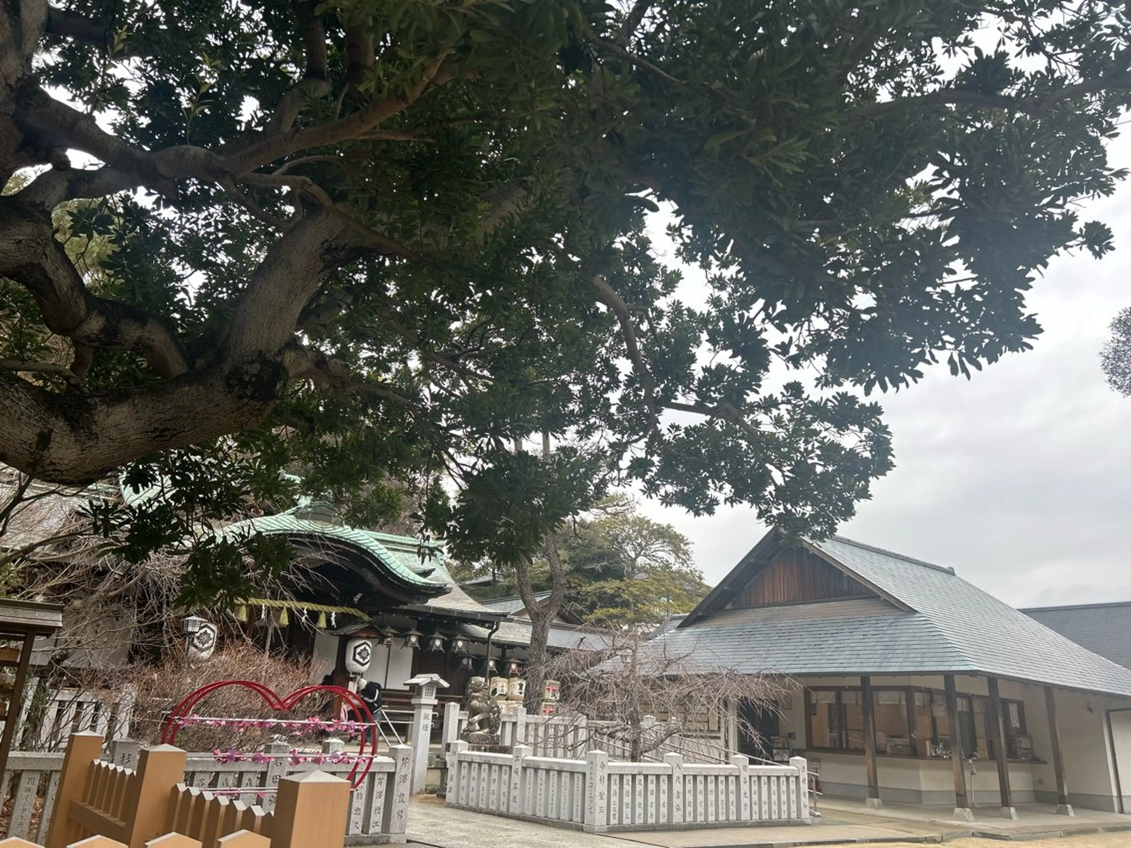 その他 バストアップ専門 おっぱい先生いそのその他イメージ