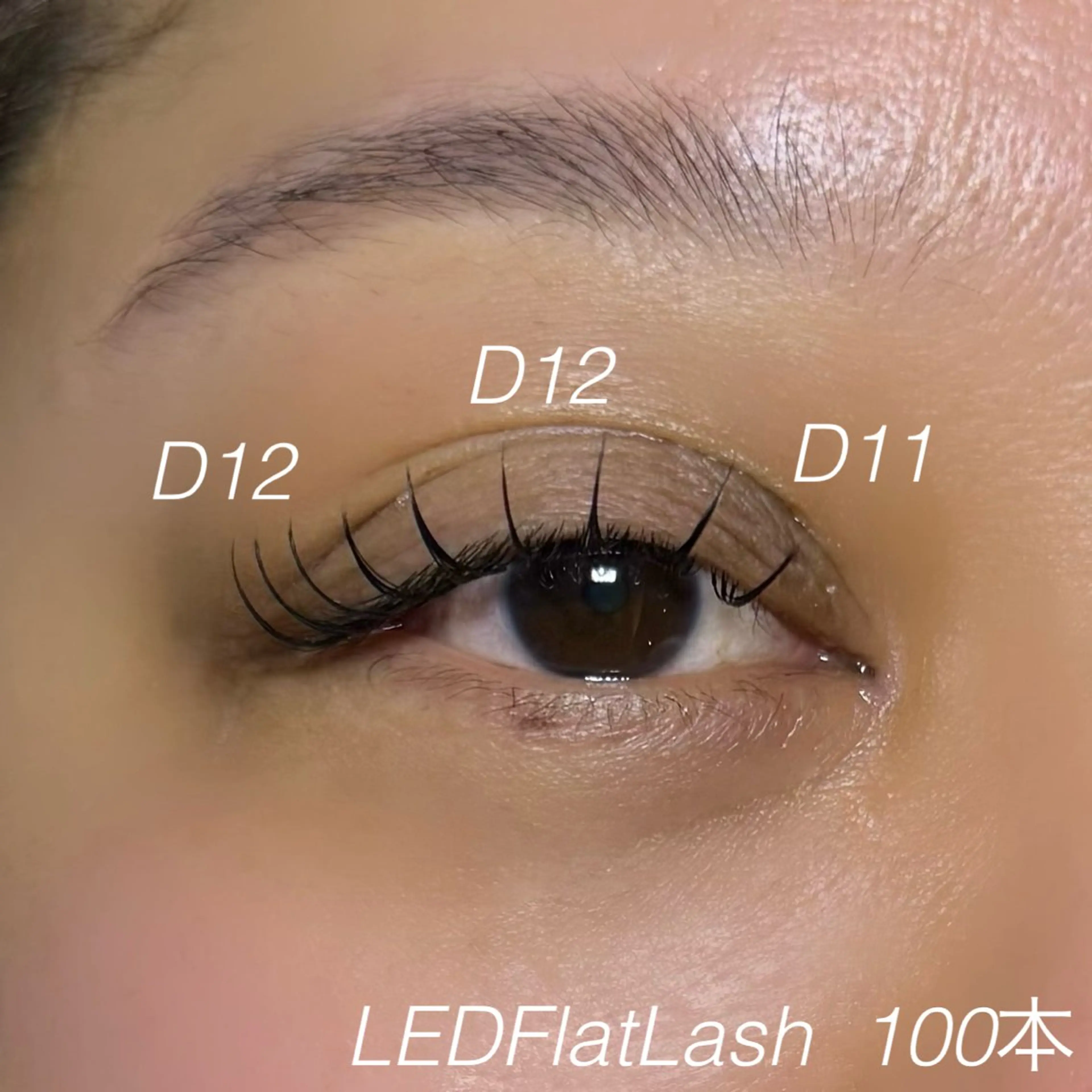 LEDフラットラッシュ100本✨1時間✨注意事項を必ずお読みください！の写真