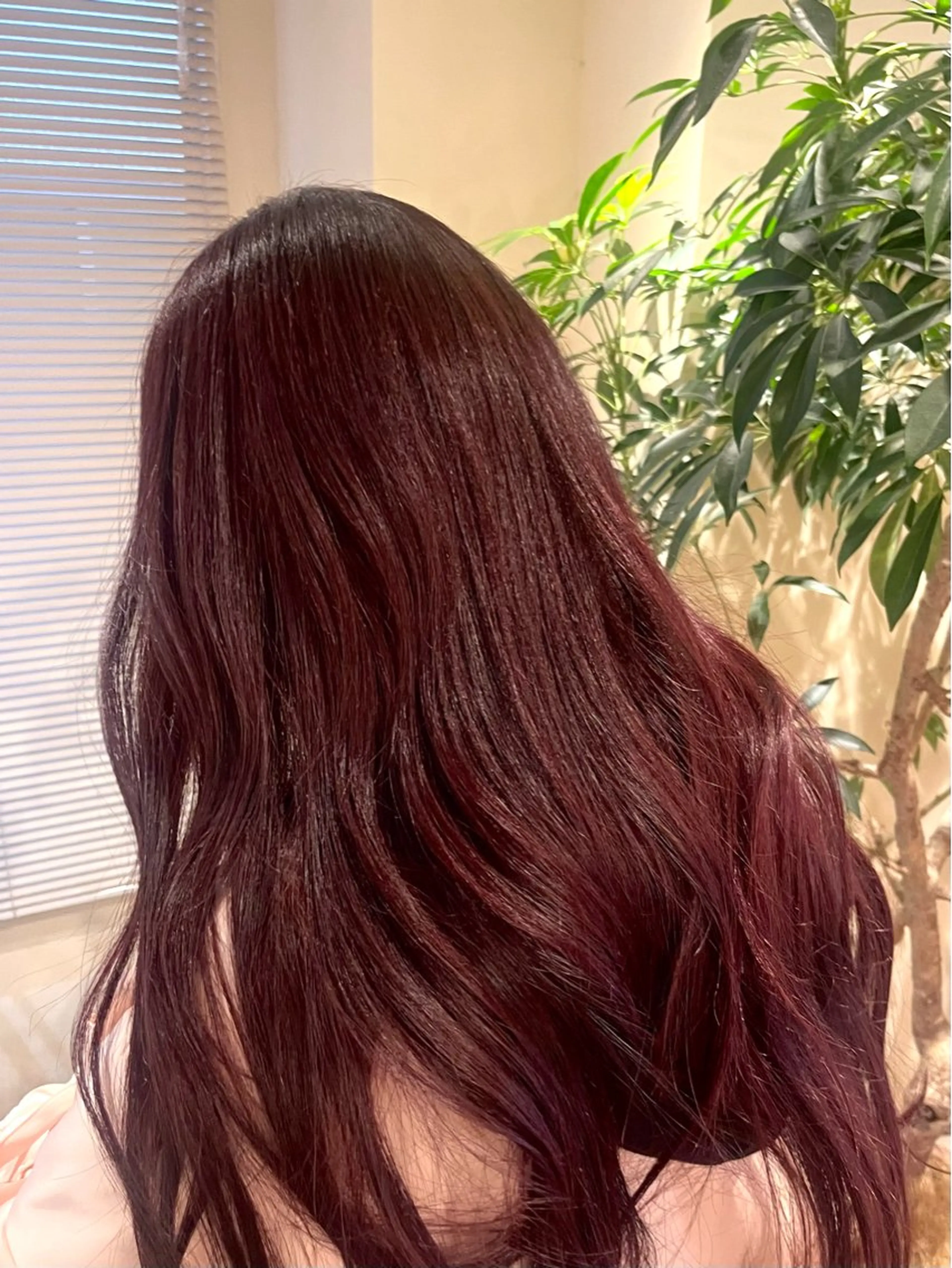 ブリーチなし　ワンカラー　〔暖色系🍒〕の写真