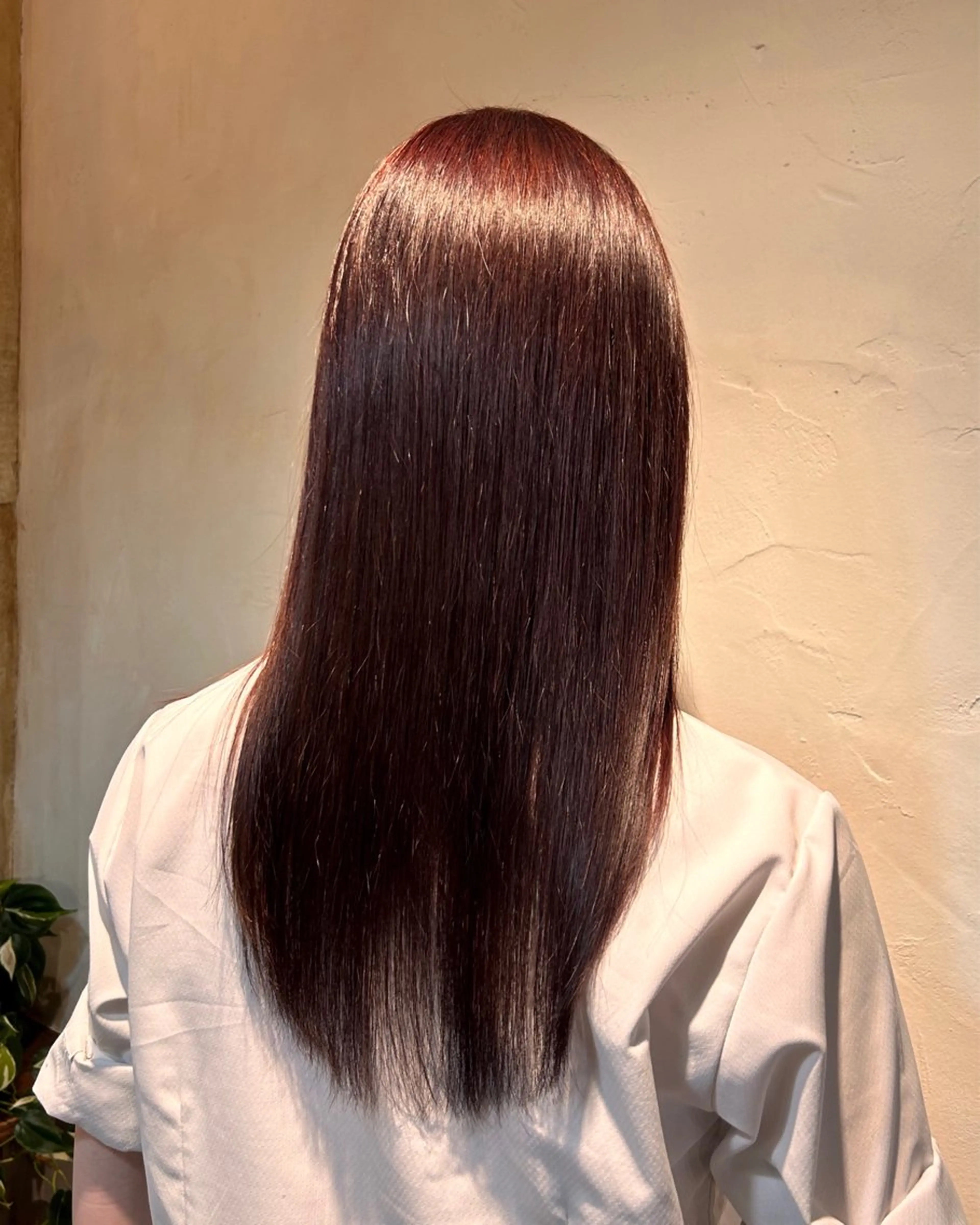 ロング カラー イルミナカラー ロング トリートメント Reir吉祥寺所属・ナチュラルカラー 🪄🧸✨れなのヘアスタイル