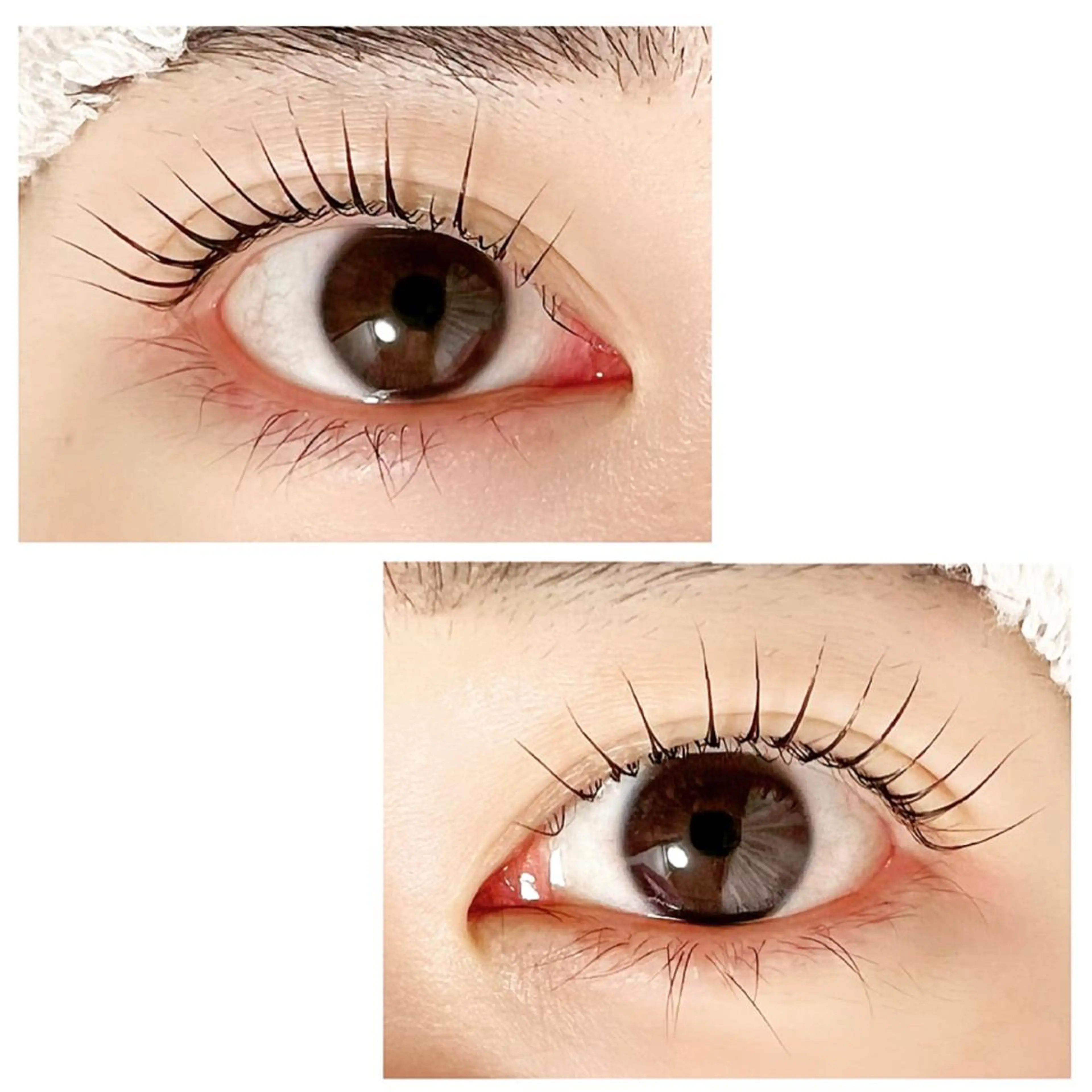 マツエク・マツパ Adorer(アドレ)所属・Adorer 🍀アドレ🍀のマツエク・マツパデザイン