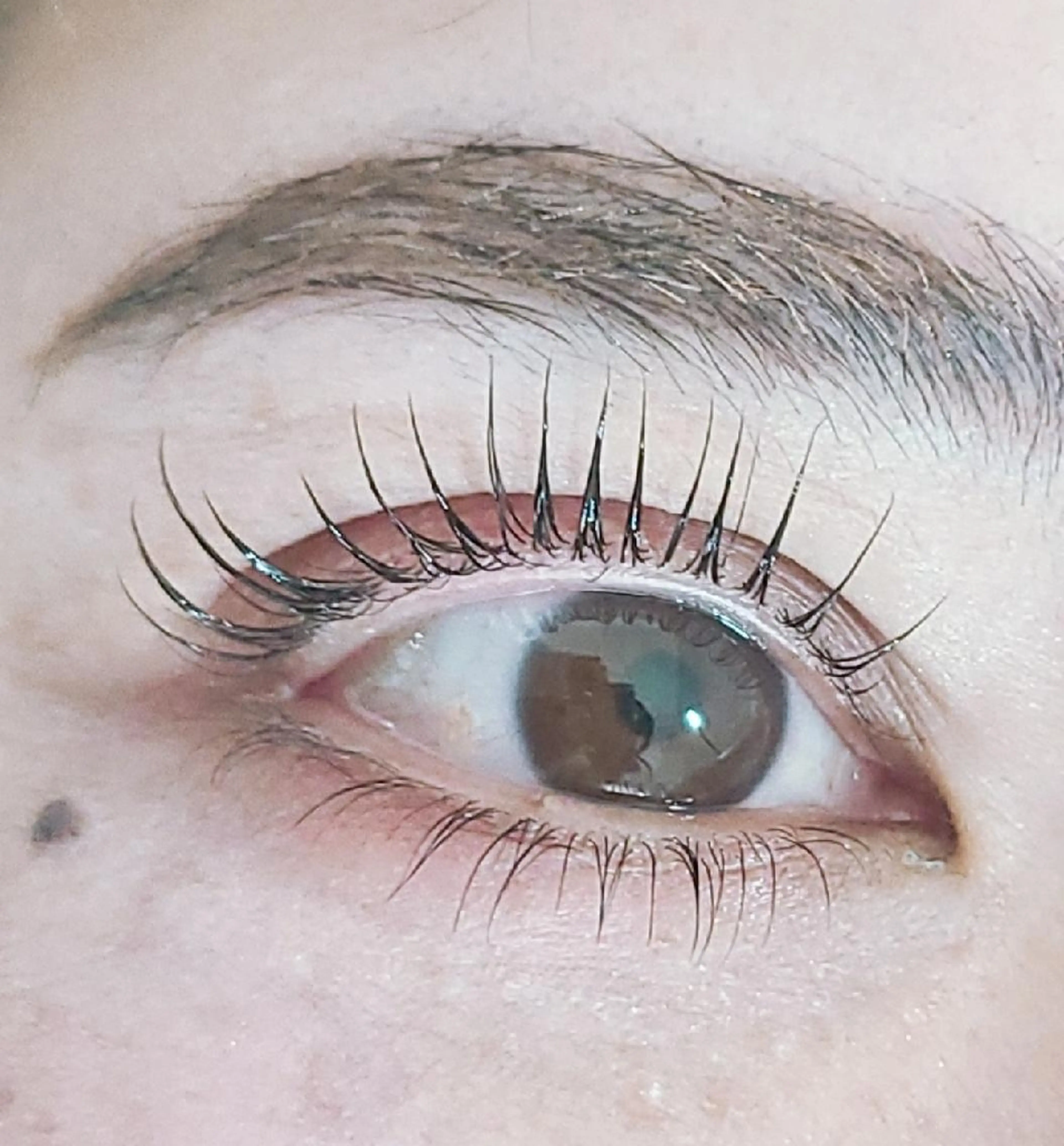 上下パリジェンヌ/似合わせラッシュリフト✨　上下セット❤の写真