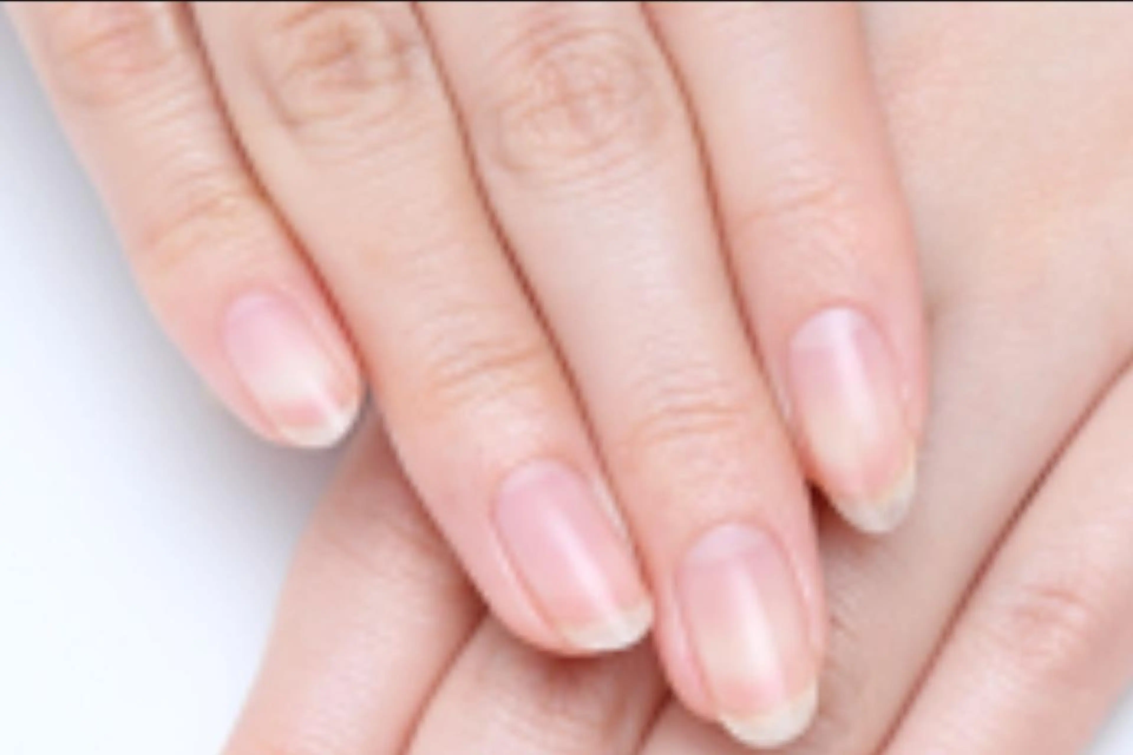 ネイル orchid ♡オーキッドのネイルデザイン