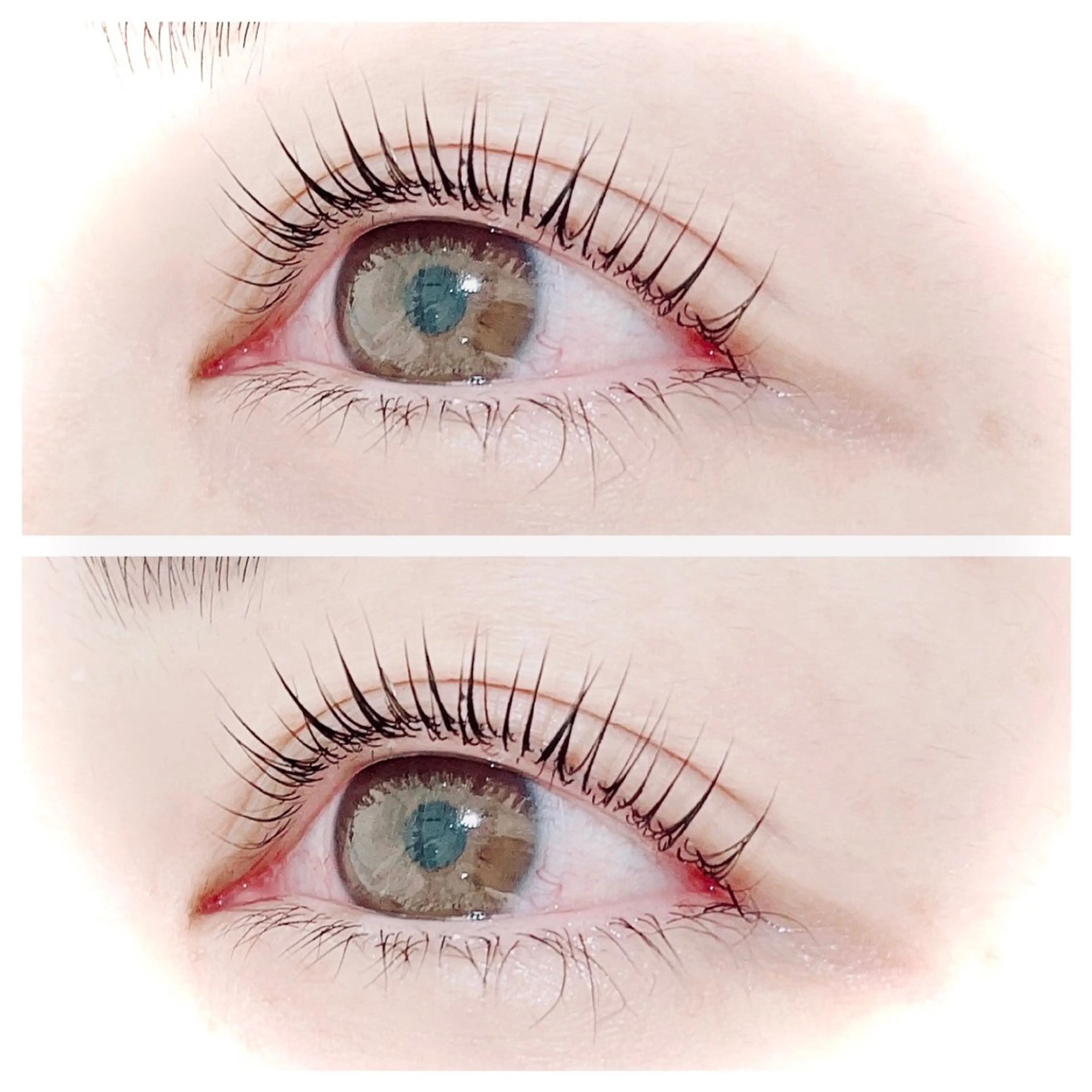 【初回限定】パリジェンヌラッシュリフト(トリートメント&コーティング)の写真