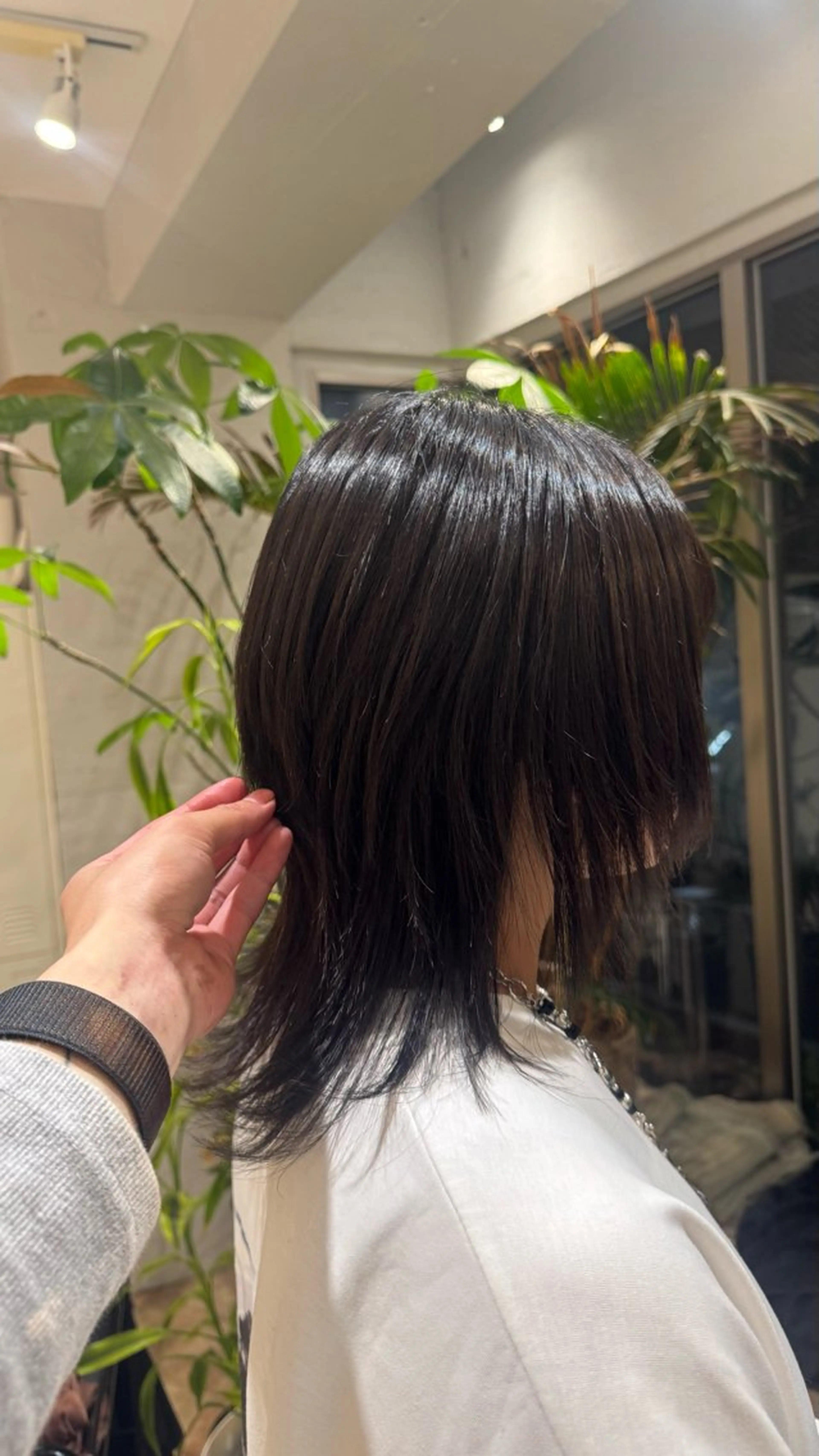 ショート 🐺ハイトーン/ウル フ/ローライト/大夢のヘアスタイル
