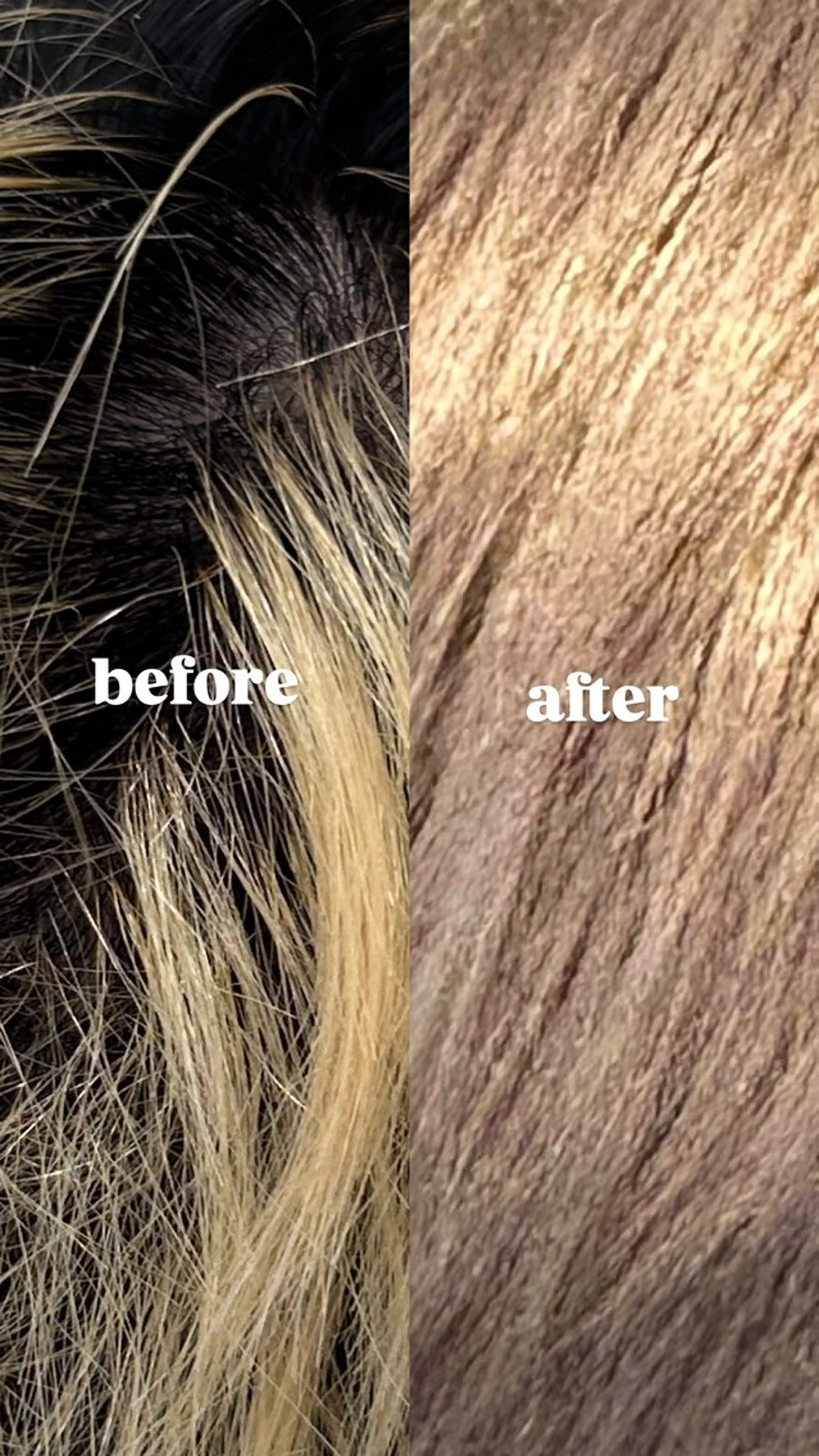 カラー White stone 今村光希のヘアスタイル