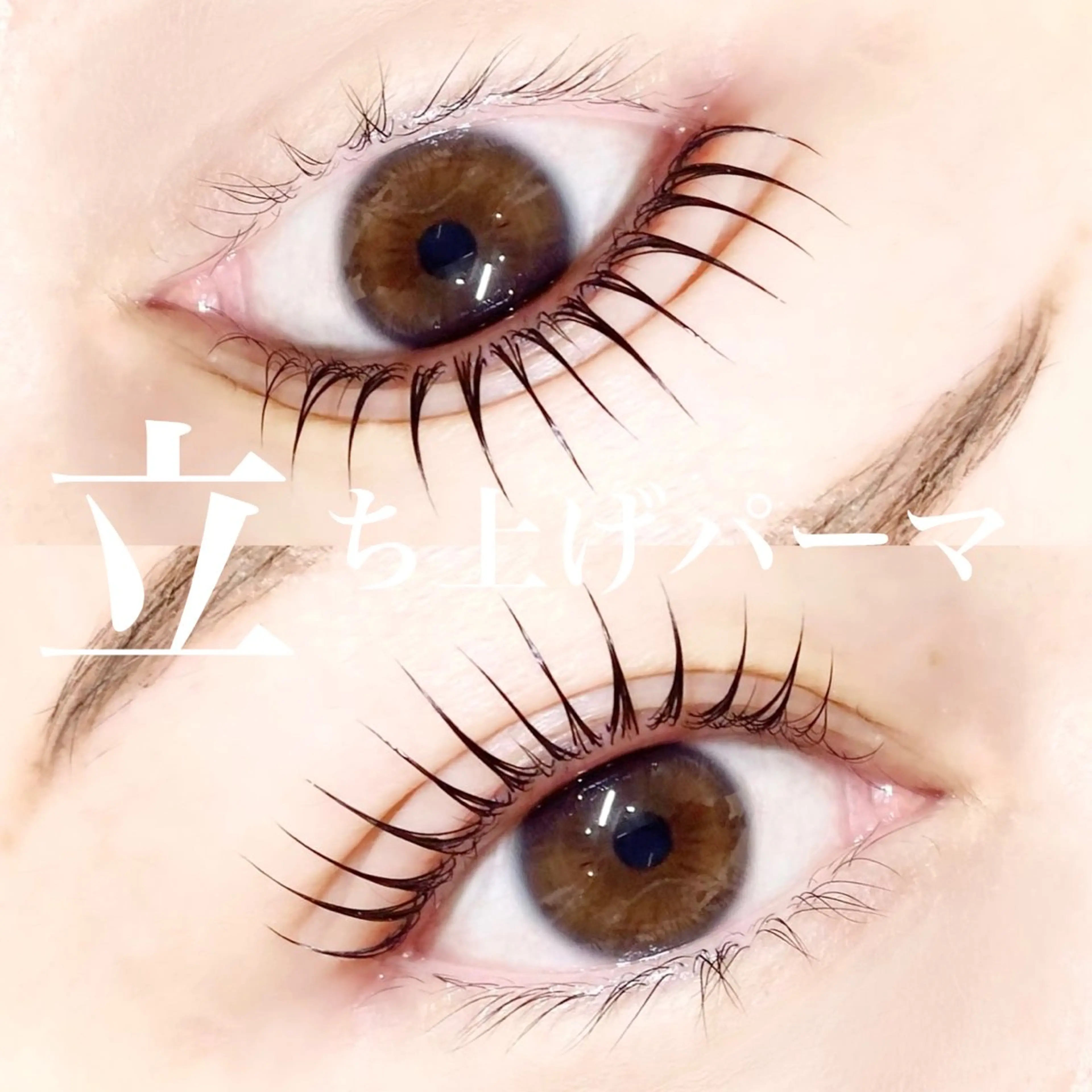 💚4月限定価格💛まつげパーマorパリジェンヌ(マスカラパーマ+1000円)📍必ず予約リクエストからご予約下さいの写真
