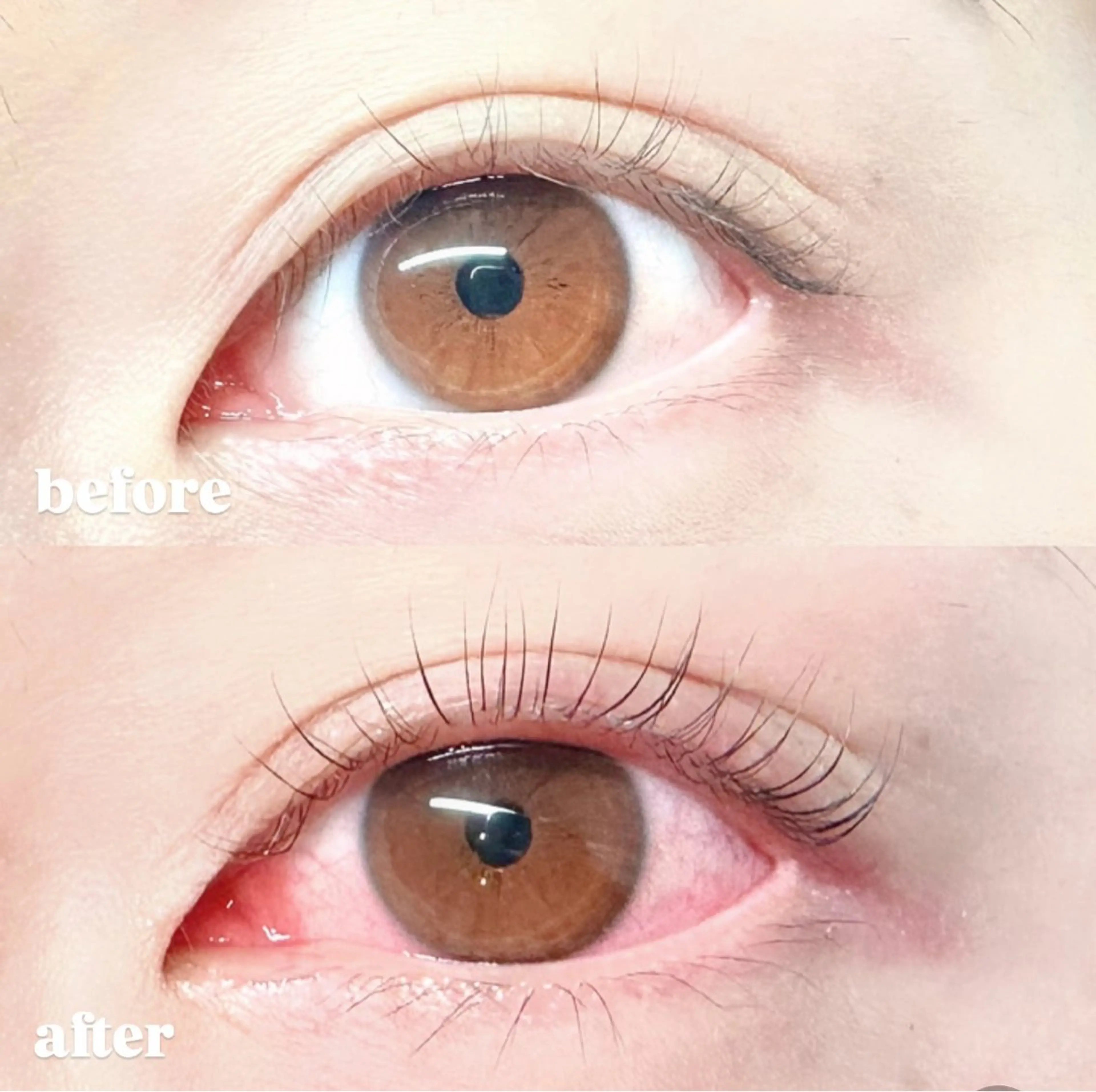 マツエク・マツパ momoka 💕のマツエク・マツパデザイン