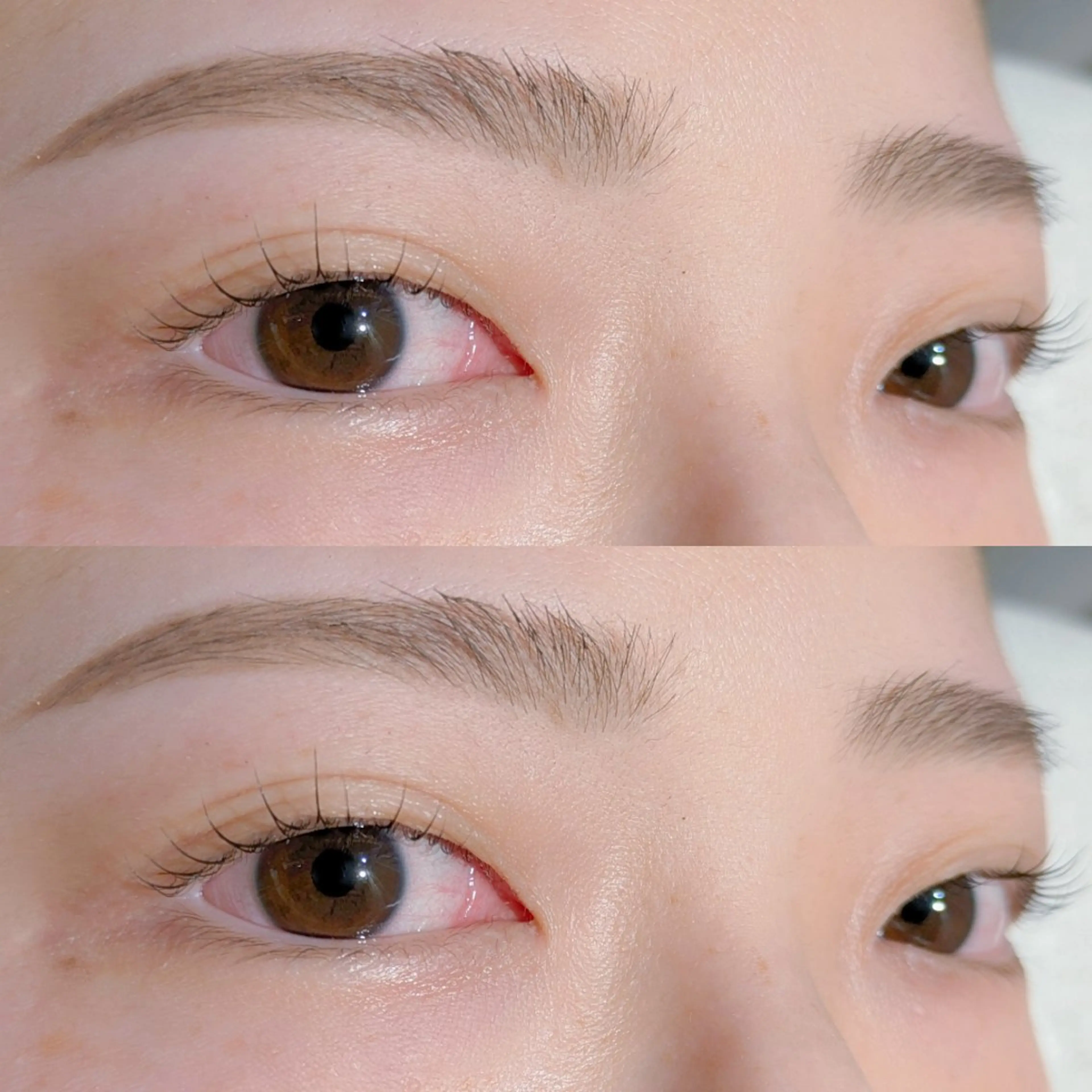 アイブロウ 眉毛ワックス脱毛 ワックス脱毛 眉カット LaMa. Yのマツエク・マツパデザイン