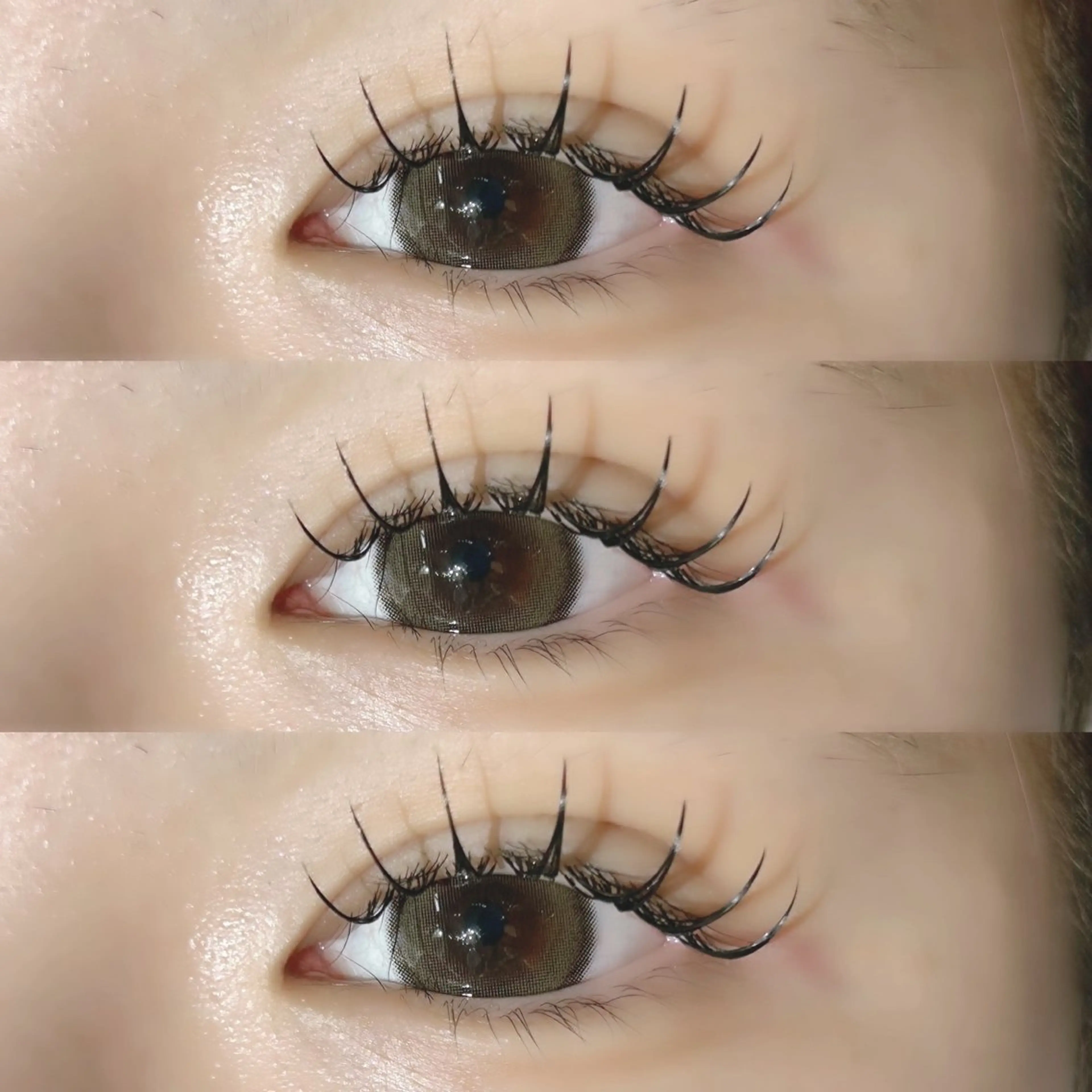 マツエク・マツパ マツエク LAUREL🪽 miyu/マツエクのマツエク・マツパデザイン