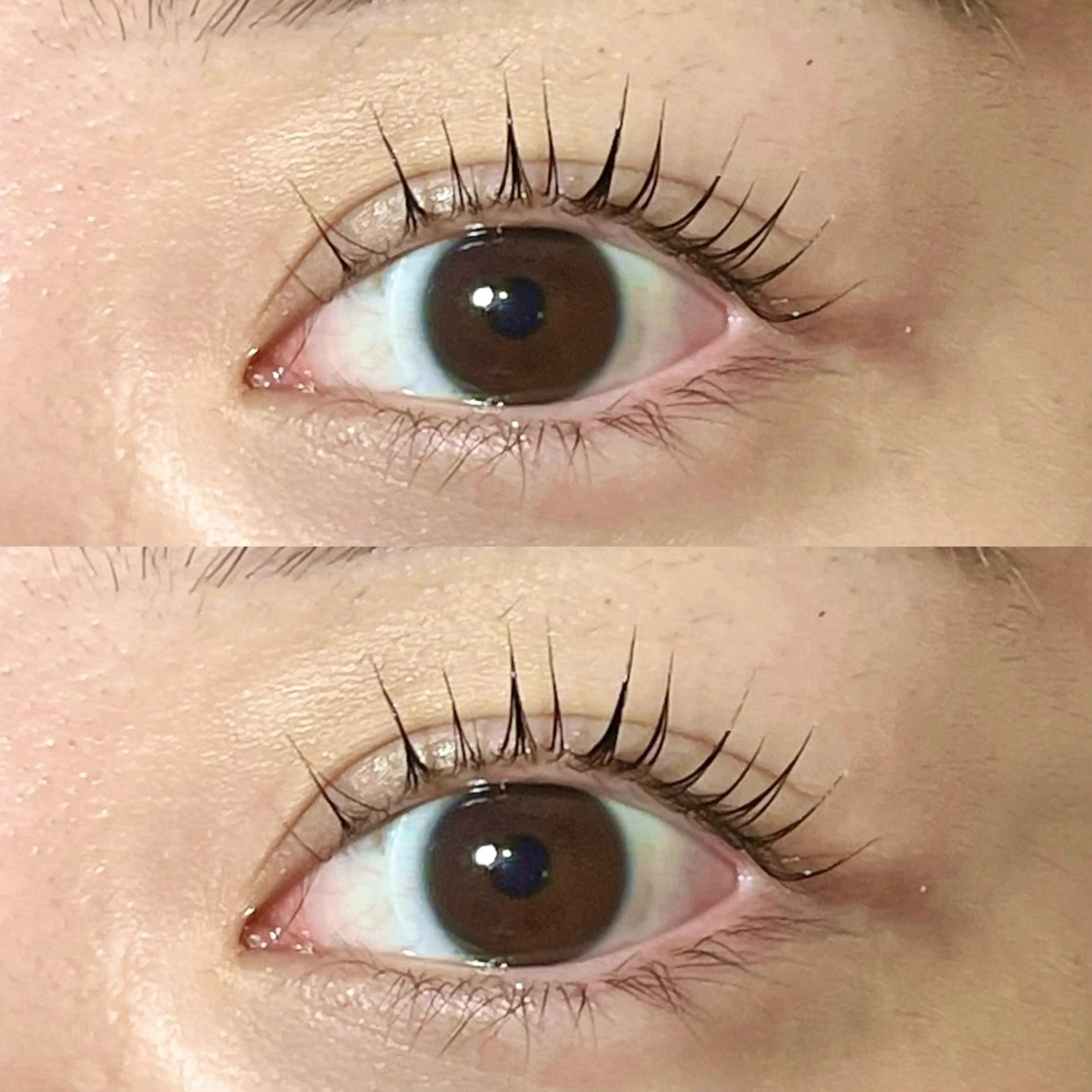 マツエク・マツパ パリジェンヌラッシュリフト ワンホンマツエク Stella 岩﨑のマツエク・マツパデザイン