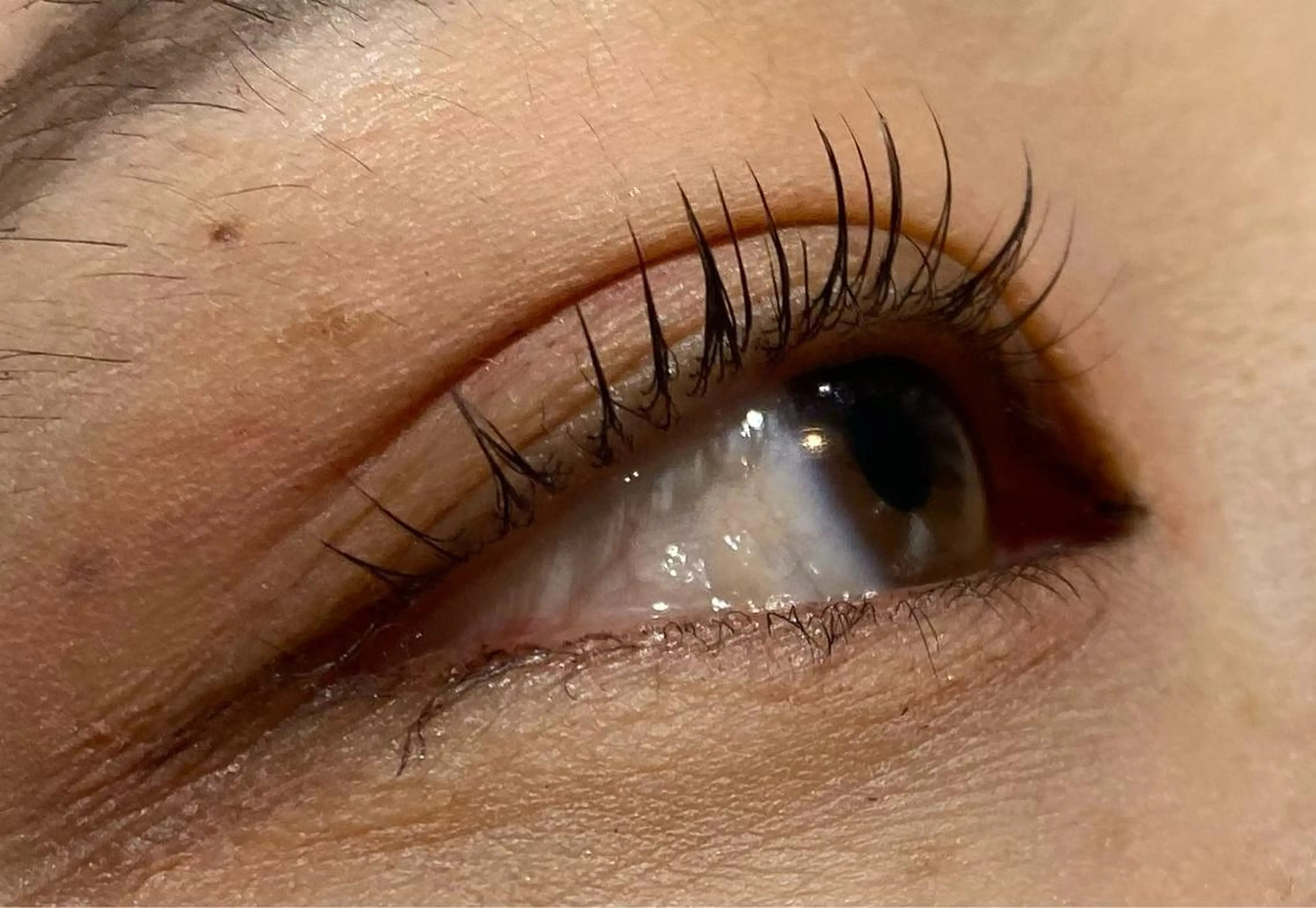 マツエク・マツパ 一重×まつ毛パーマ 田上 (たのうえ)のヘアスタイル