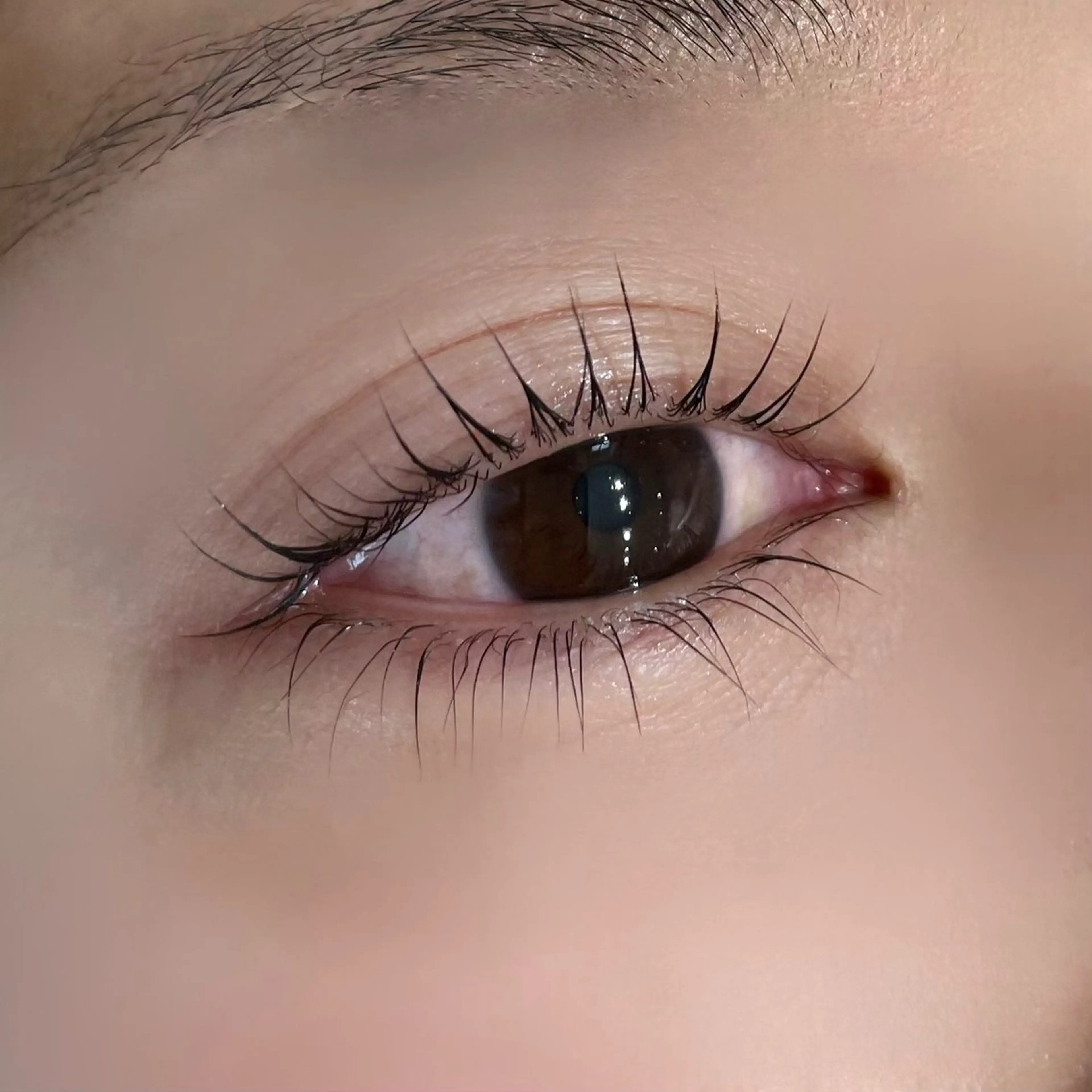 マツエク・マツパ まつげパーマ 下まつげエクステ Koti sakai mayuのマツエク・マツパデザイン