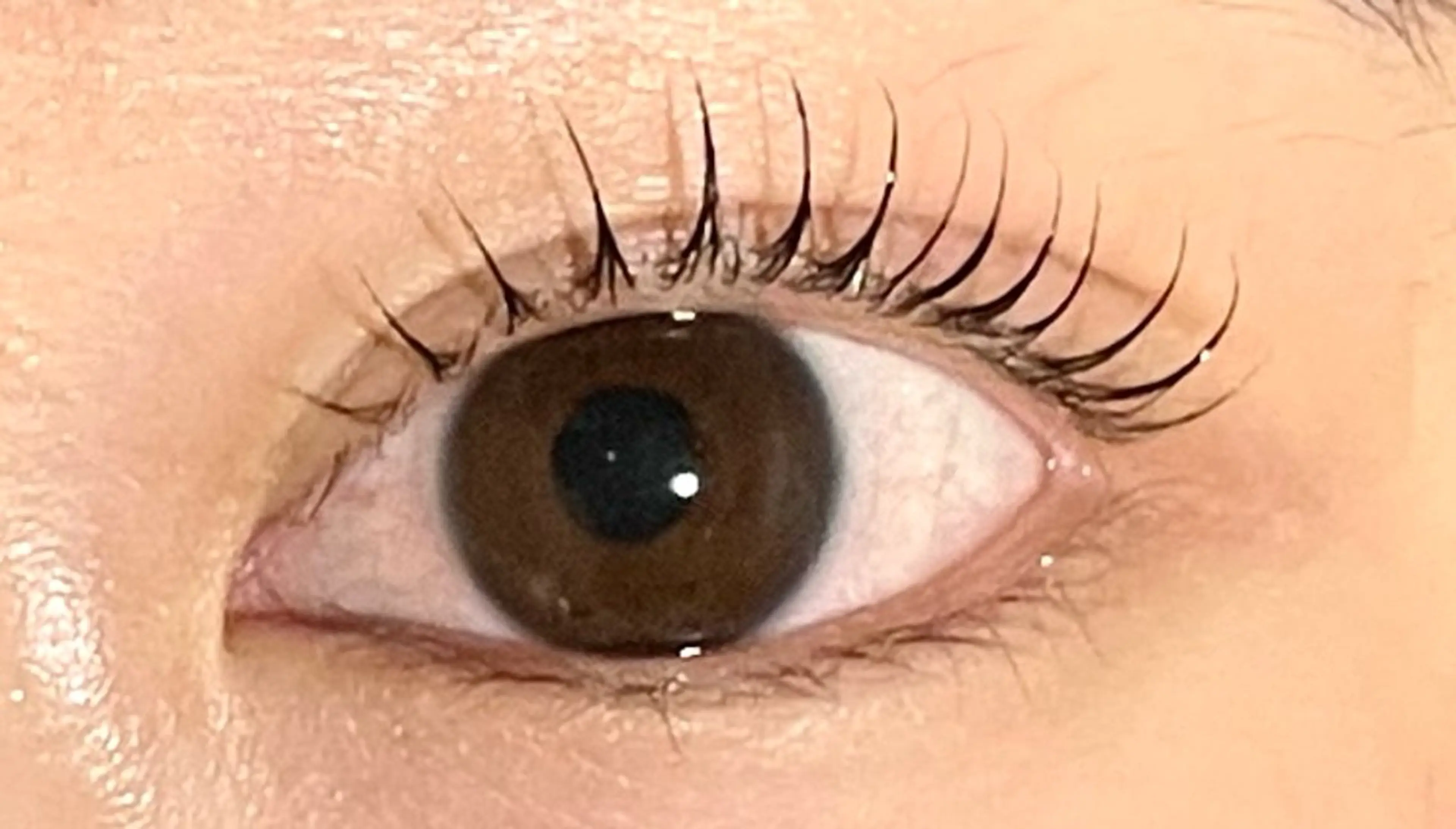 マツエク・マツパ 山本joieange 心斎橋店のマツエク・マツパデザイン