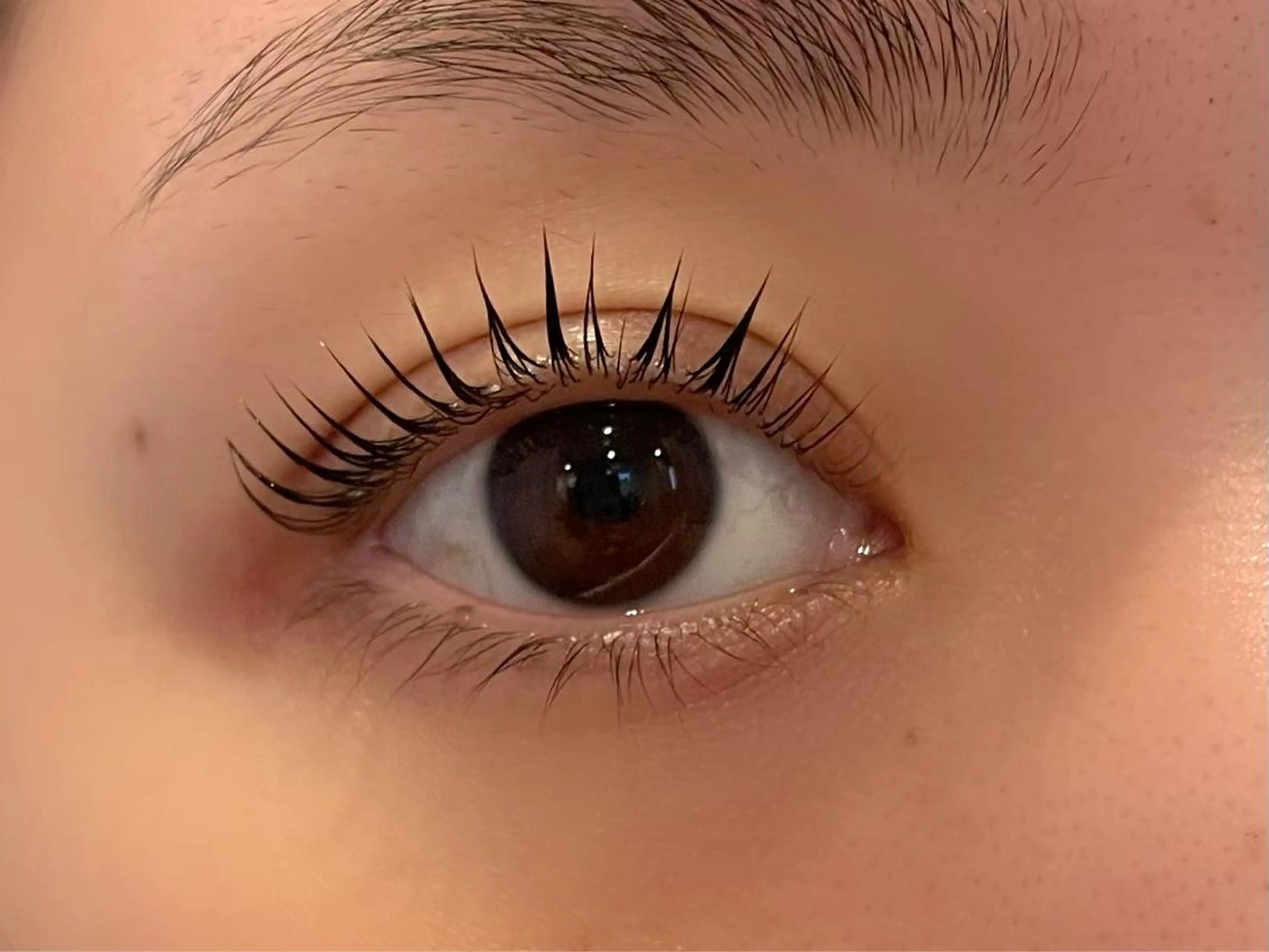 マツエク・マツパ 付け放題 カラーマツエク フラットラッシュ パリジェンヌラッシュリフト まつげパーマ 森 千紘のマツエク・マツパデザイン