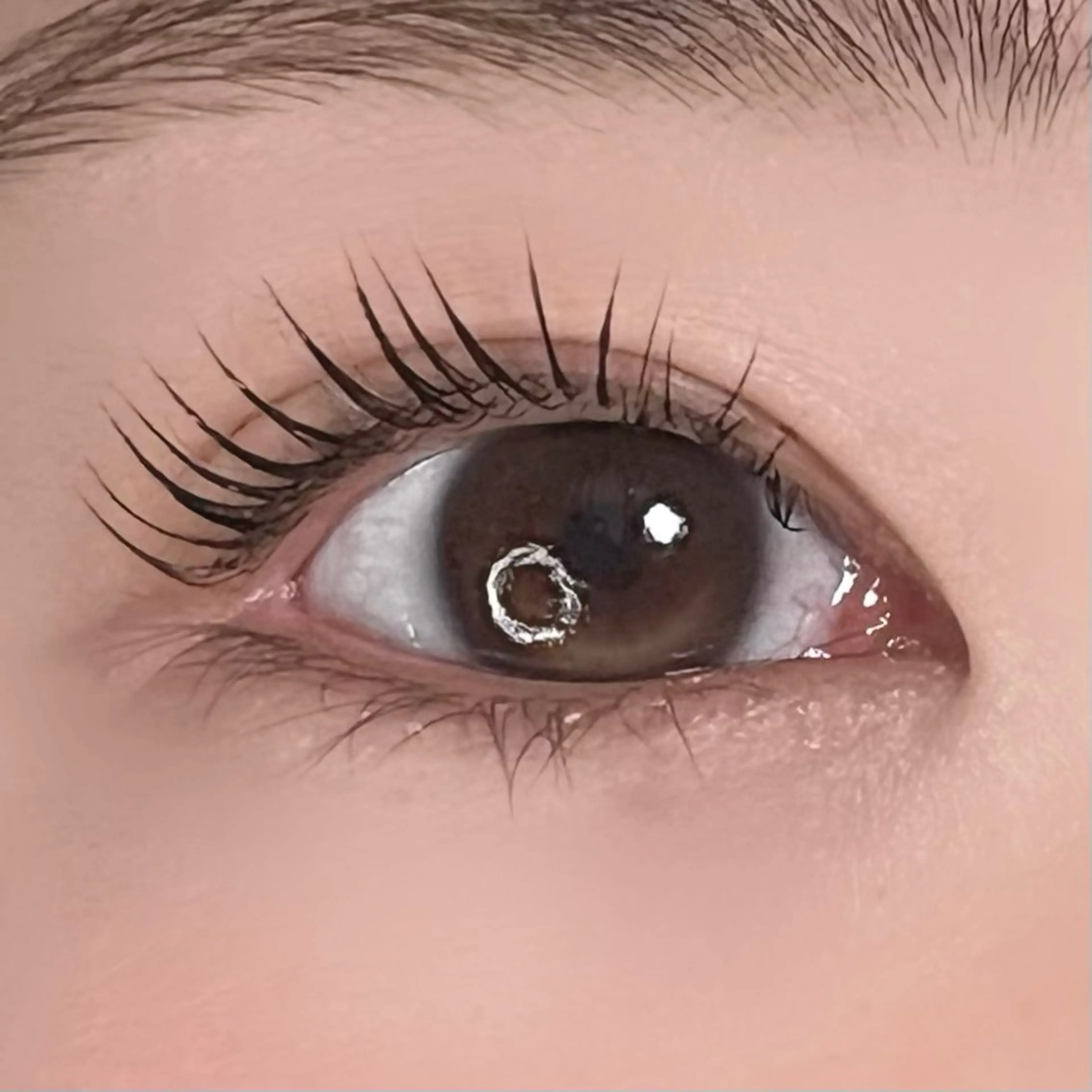 マツエク・マツパ 垢抜け眉WAX専門 ちゅるんまつげ|鎌倉の眉毛・アイブロウイメージ