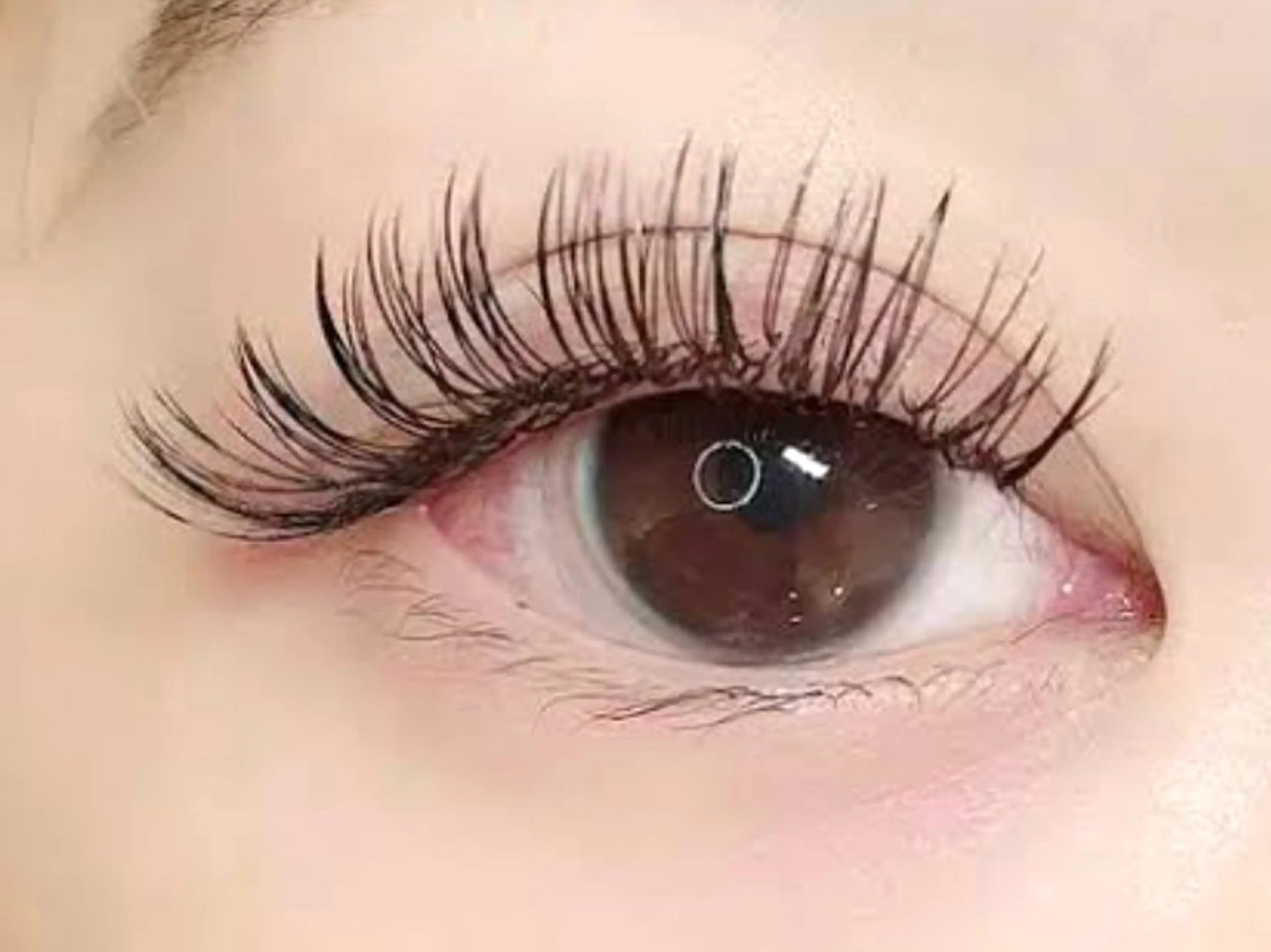 マツエク・マツパ EARTH Eyelash平塚店のマツエク・マツパデザイン