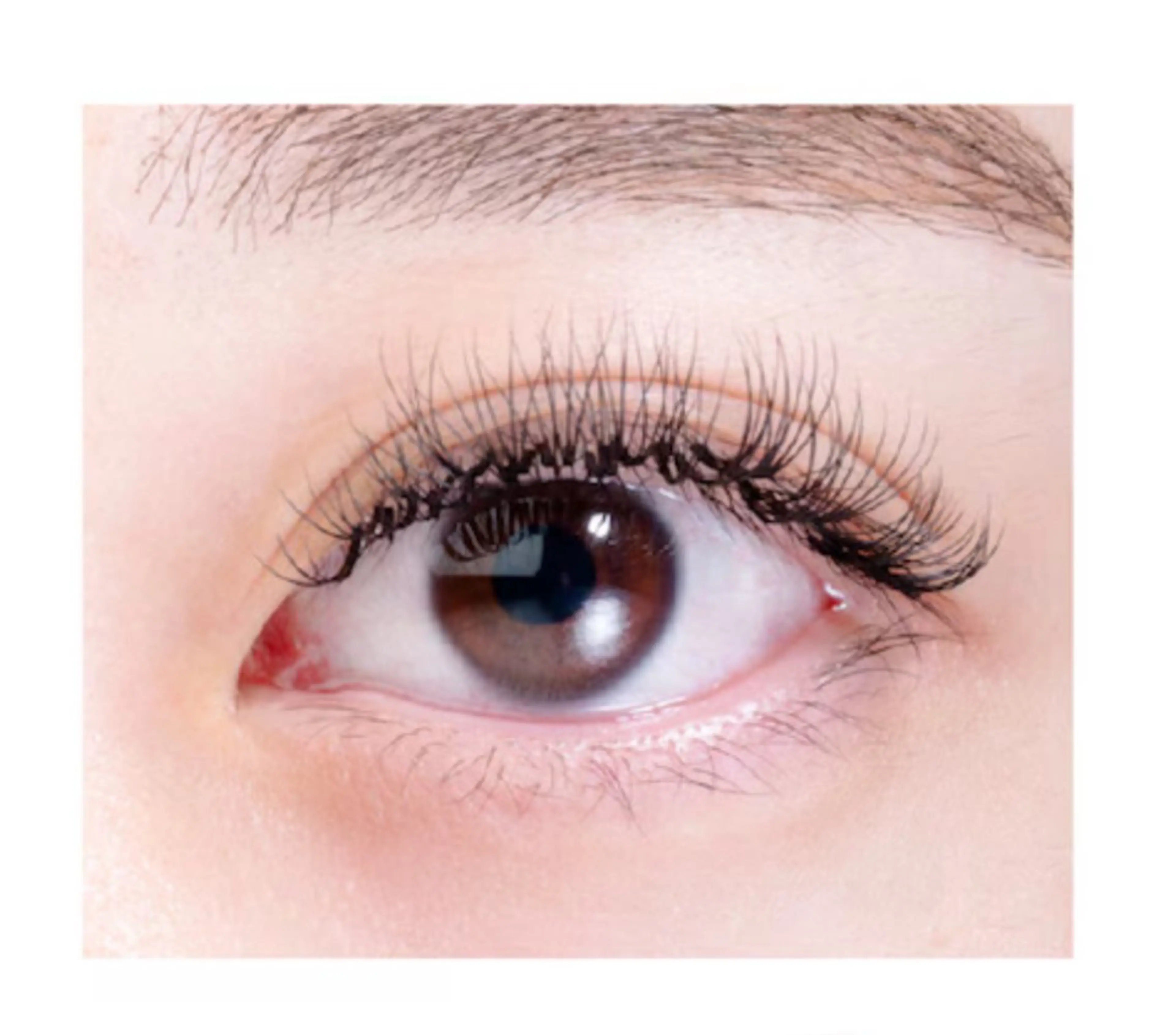 マツエク・マツパ 市橋 りりのマツエク・マツパデザイン