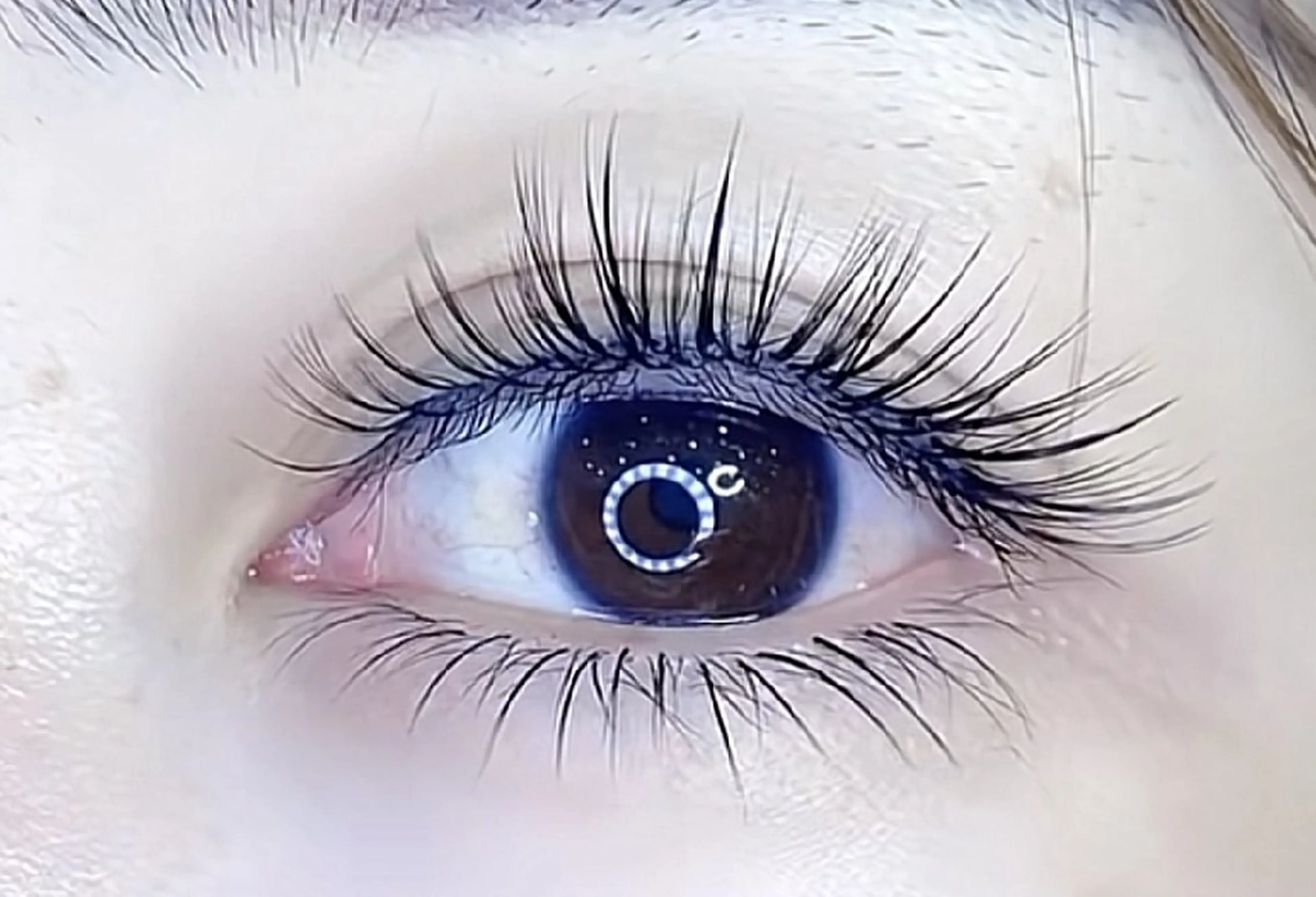 パリエク🍡パリジェンヌ（上まつ毛）+ 3Dボリュームラッシュ300本🧚‍♂️の写真