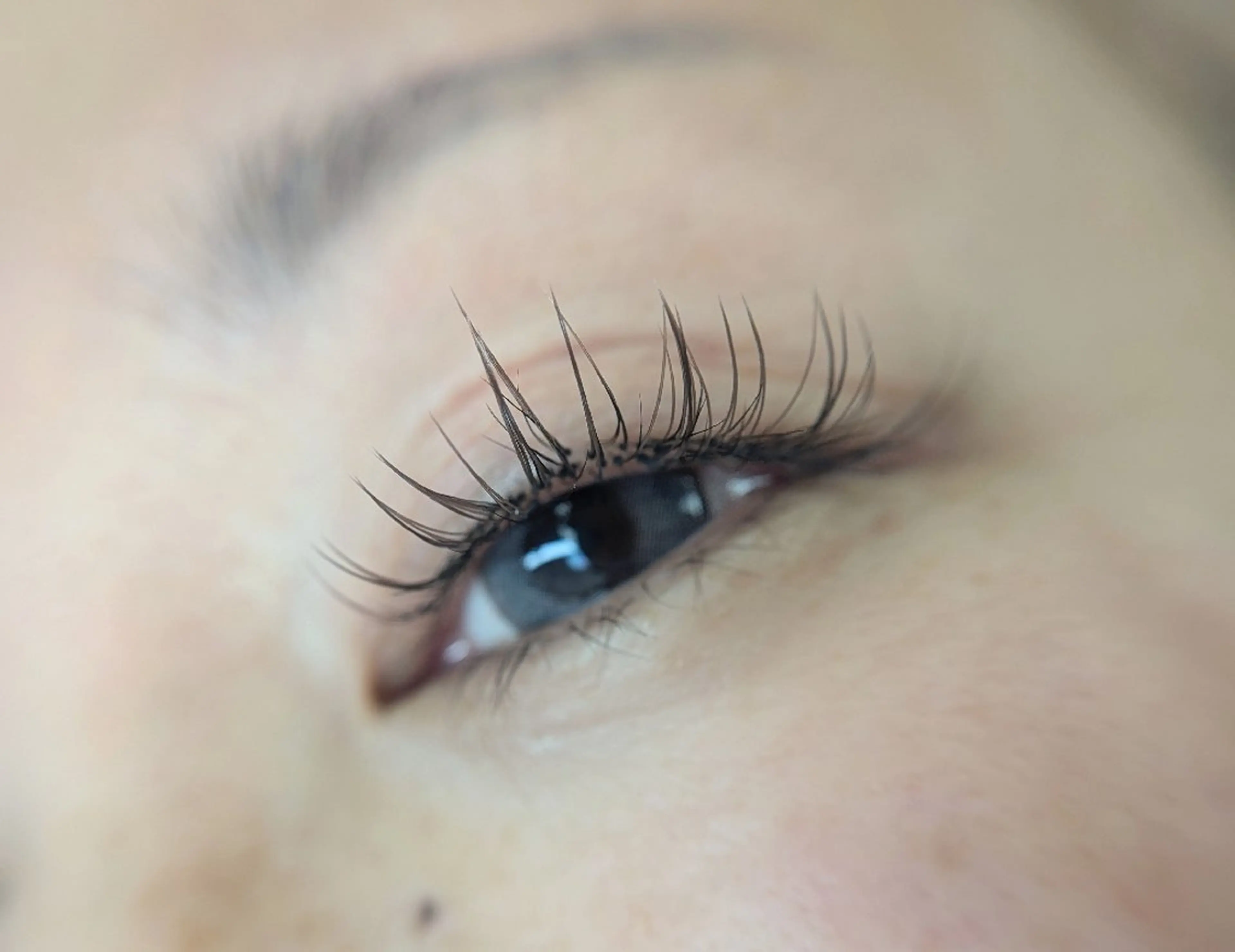 マツエク・マツパ カラーマツエク マツエク Belles  Ailesのマツエク・マツパデザイン