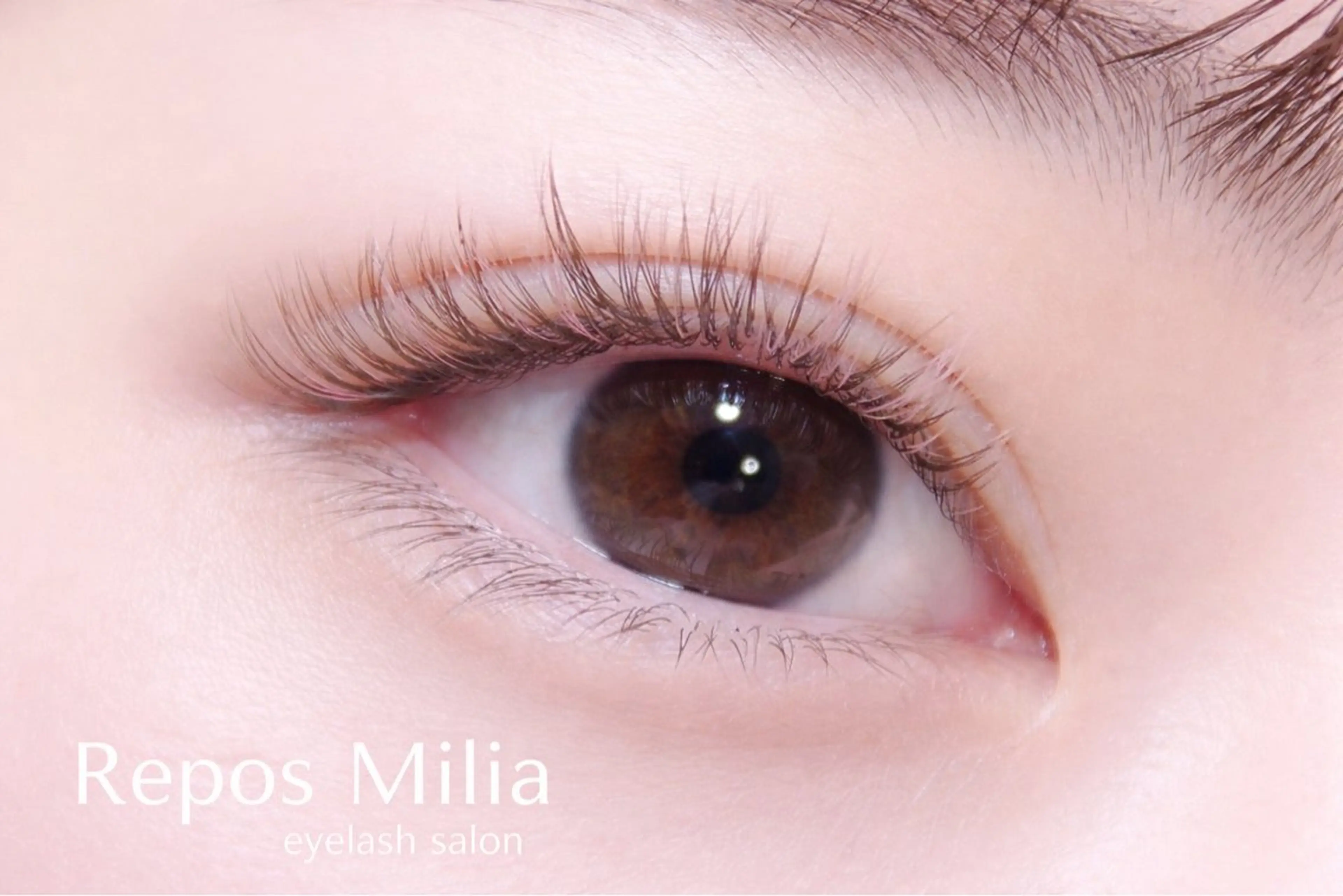 マツエク・マツパ ReposMilia ボリュームラッシュのマツエク・マツパデザイン