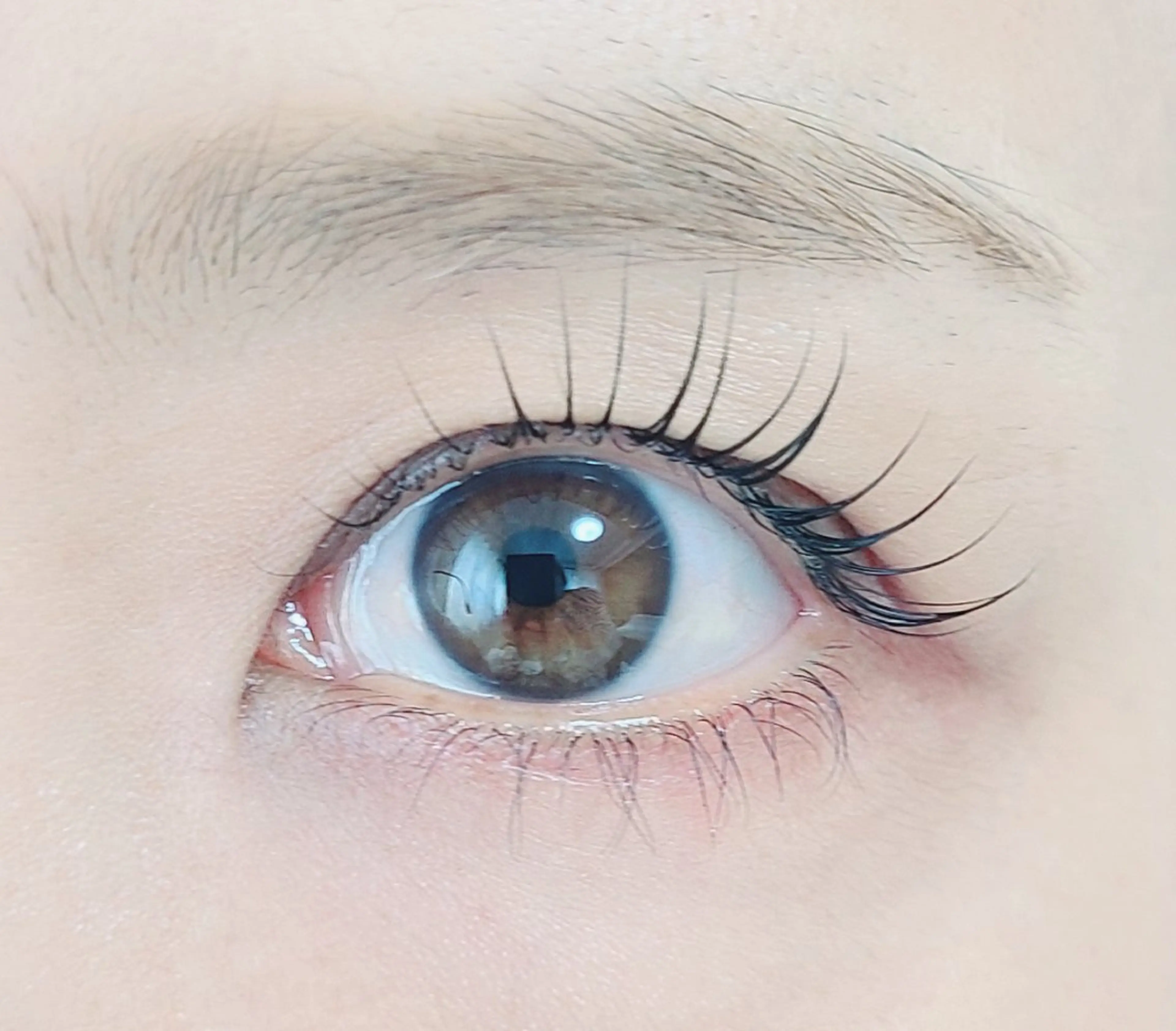 当日限定✨✨💗マスカラパーマ【ブラックティント】💗✨✨の写真