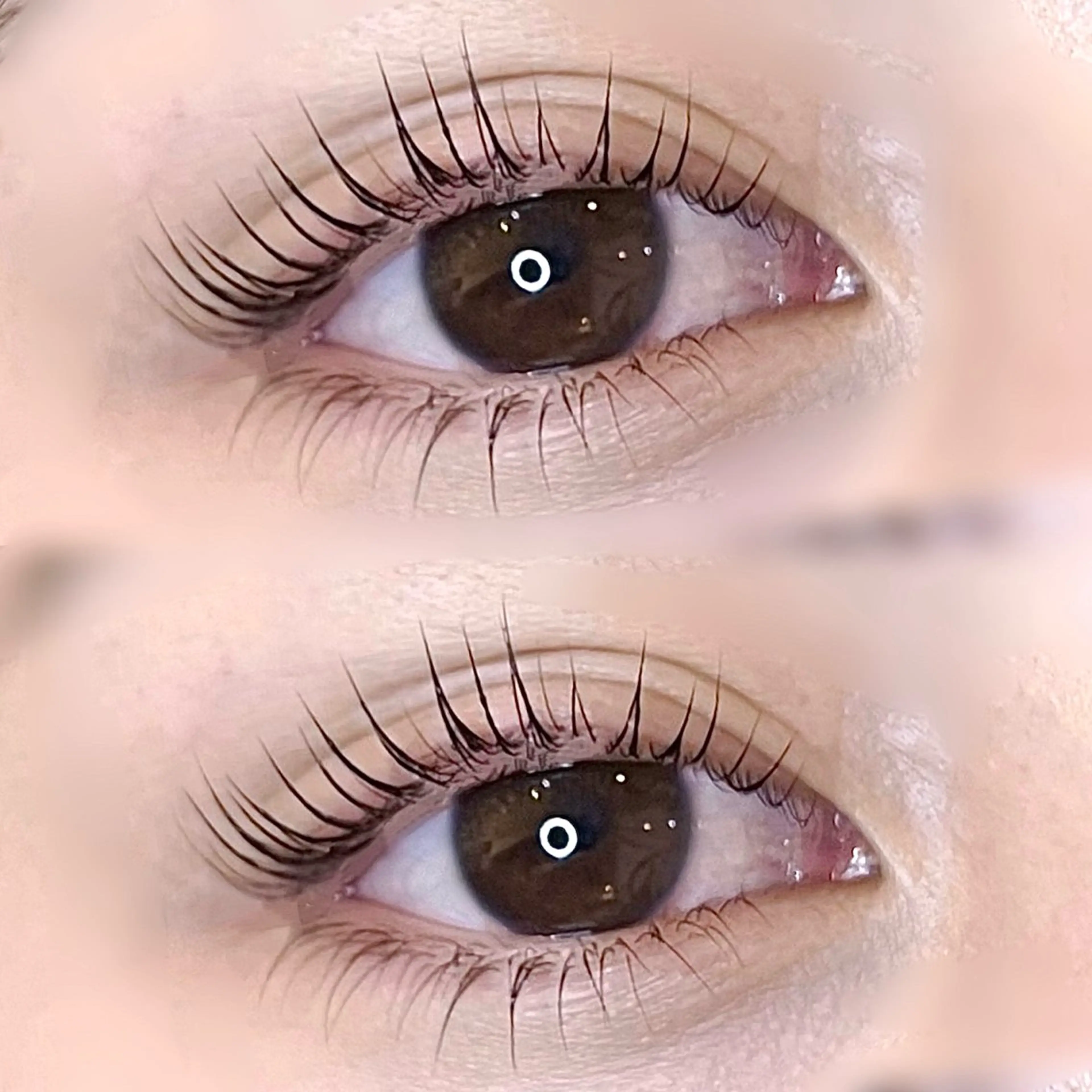 パリジェンヌorまつげパーマ上下セットの写真