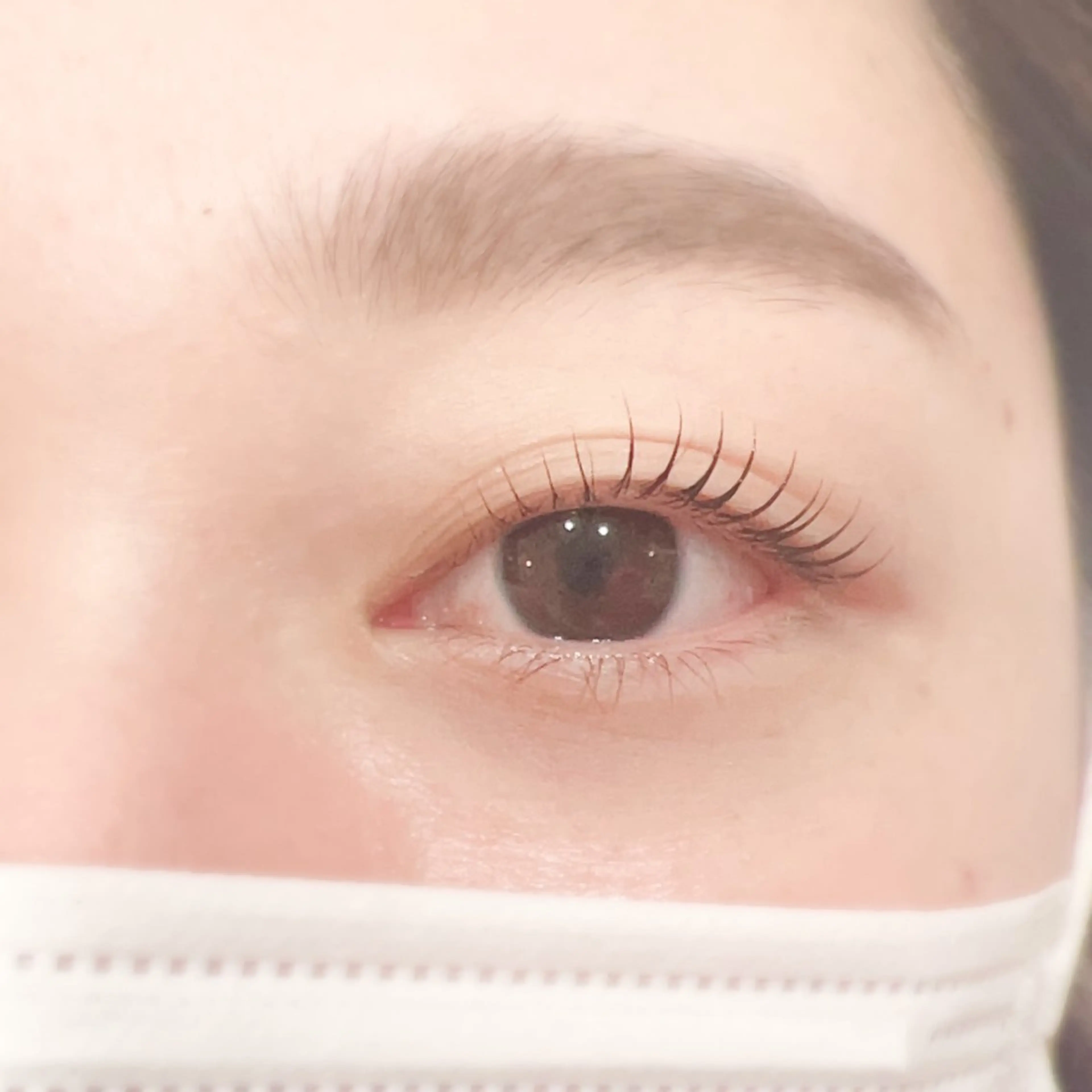 ケラチンラッシュリフト上の写真