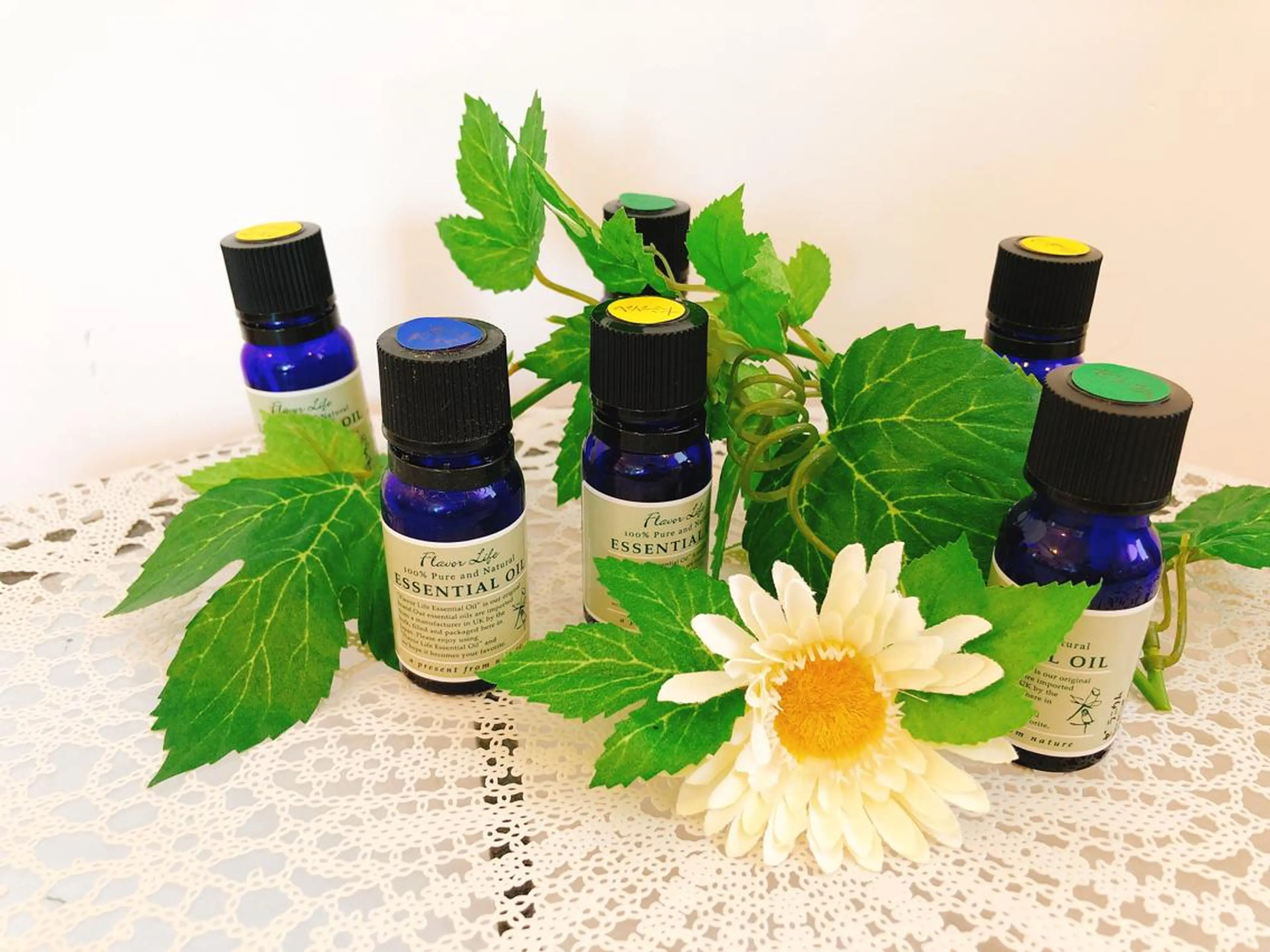 初めての方限定！やみつきです！ロハストリートメントコースの写真