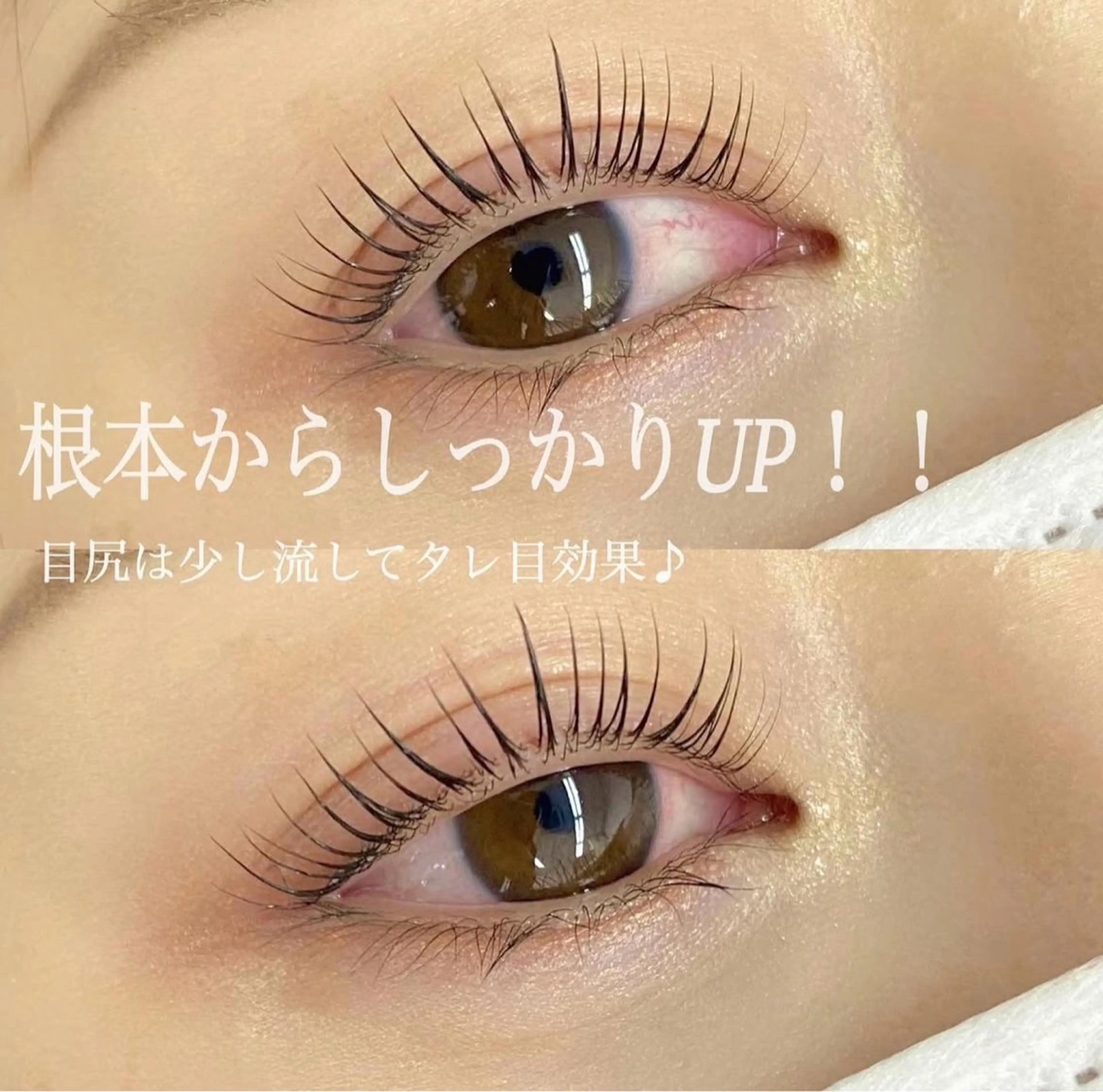 ❤︎韓国風束感まつ毛❤︎まつ毛カール上！！パリジェンヌからナチュラルまで♪の写真