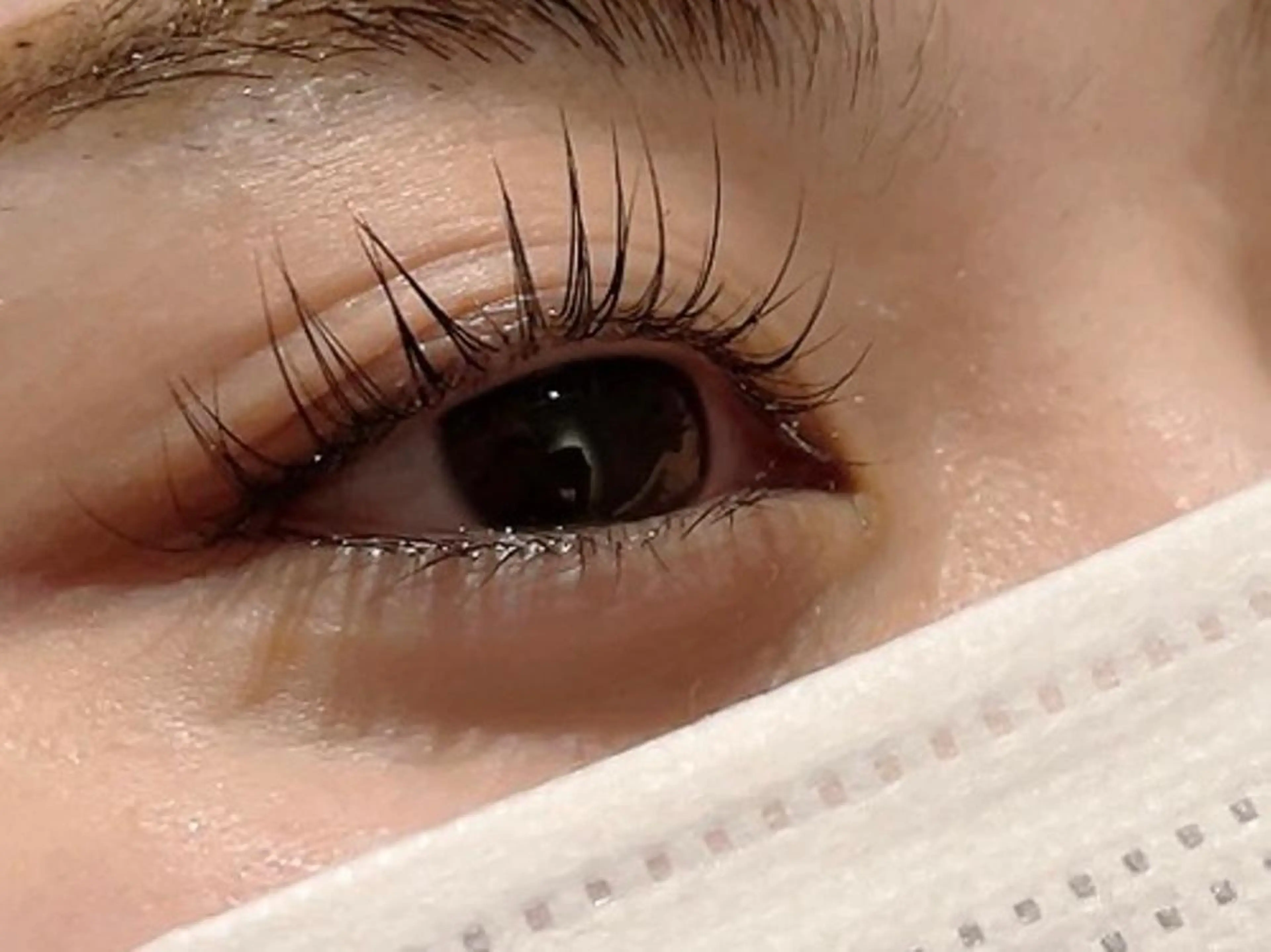 💚【平日予約限定】大人気！次世代まつげパーマ👀パリジェンヌラッシュリフト アイシャンプー高品質トリートメント付き💚の写真