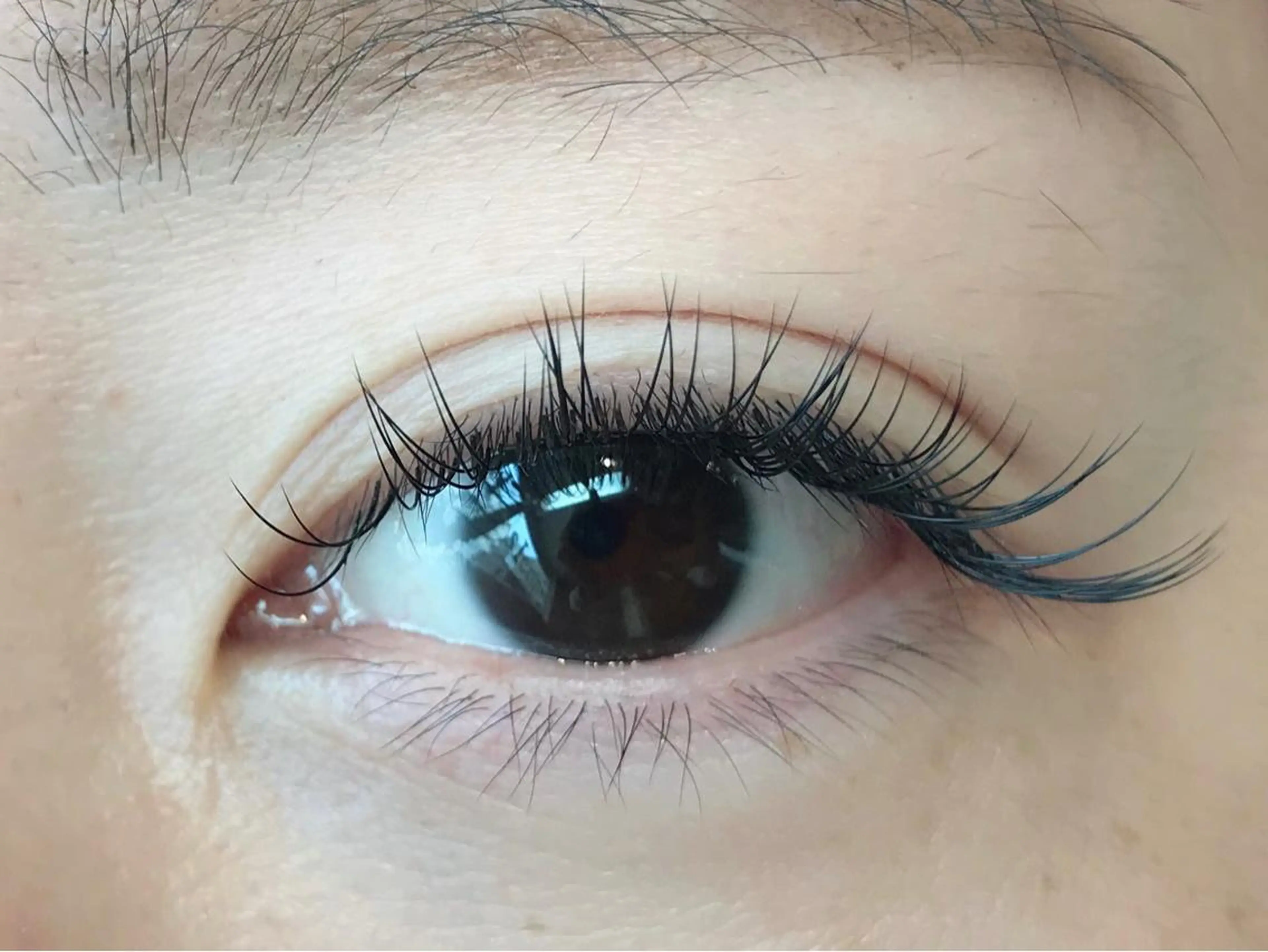 シングルラッシュ45分つけ放題の写真