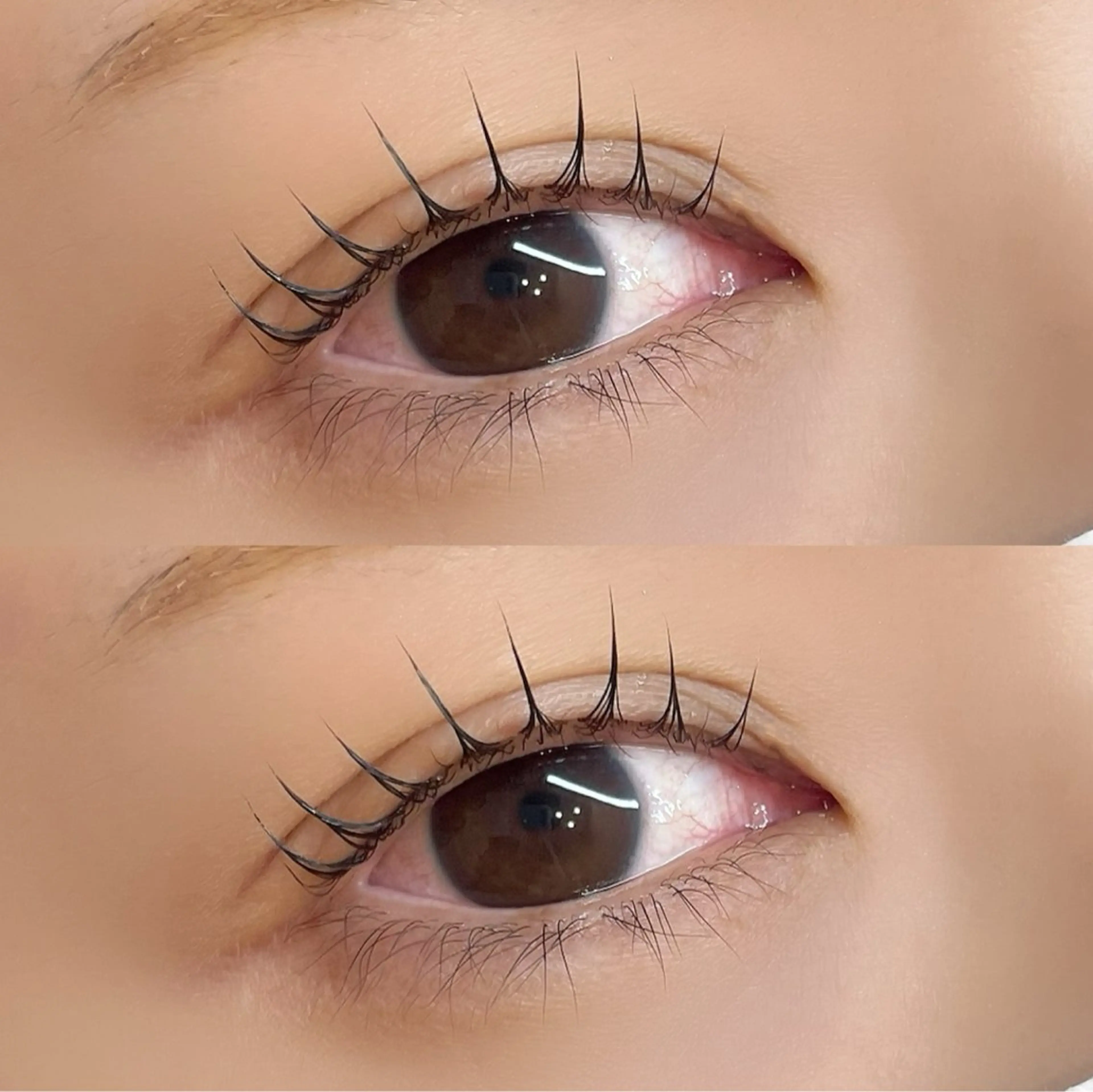 マツエク・マツパ パリジェンヌラッシュリフト マツパ Lumina yutoriのマツエク・マツパデザイン