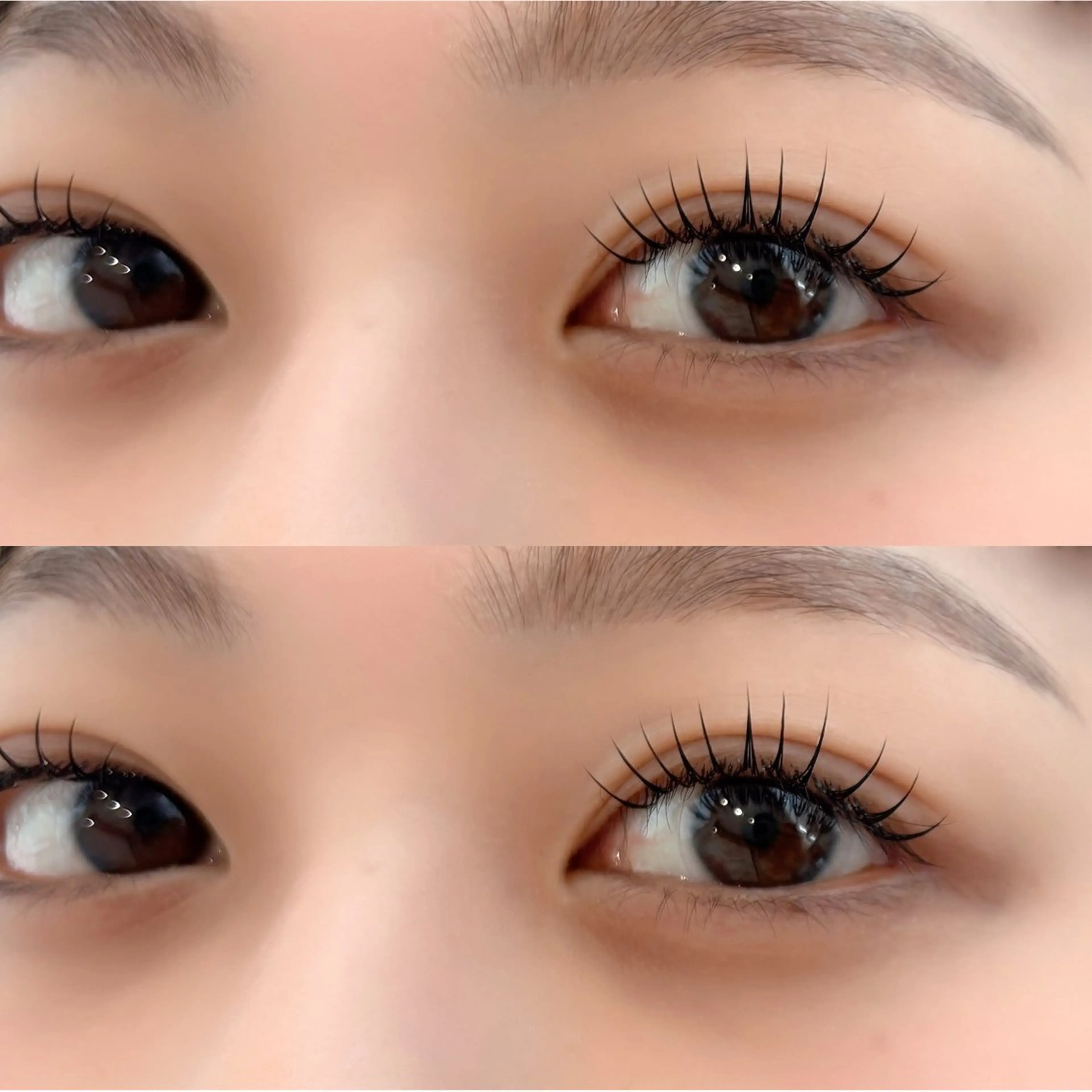 【LED100本+アイブロウ】🖤セットでお得🖤の写真