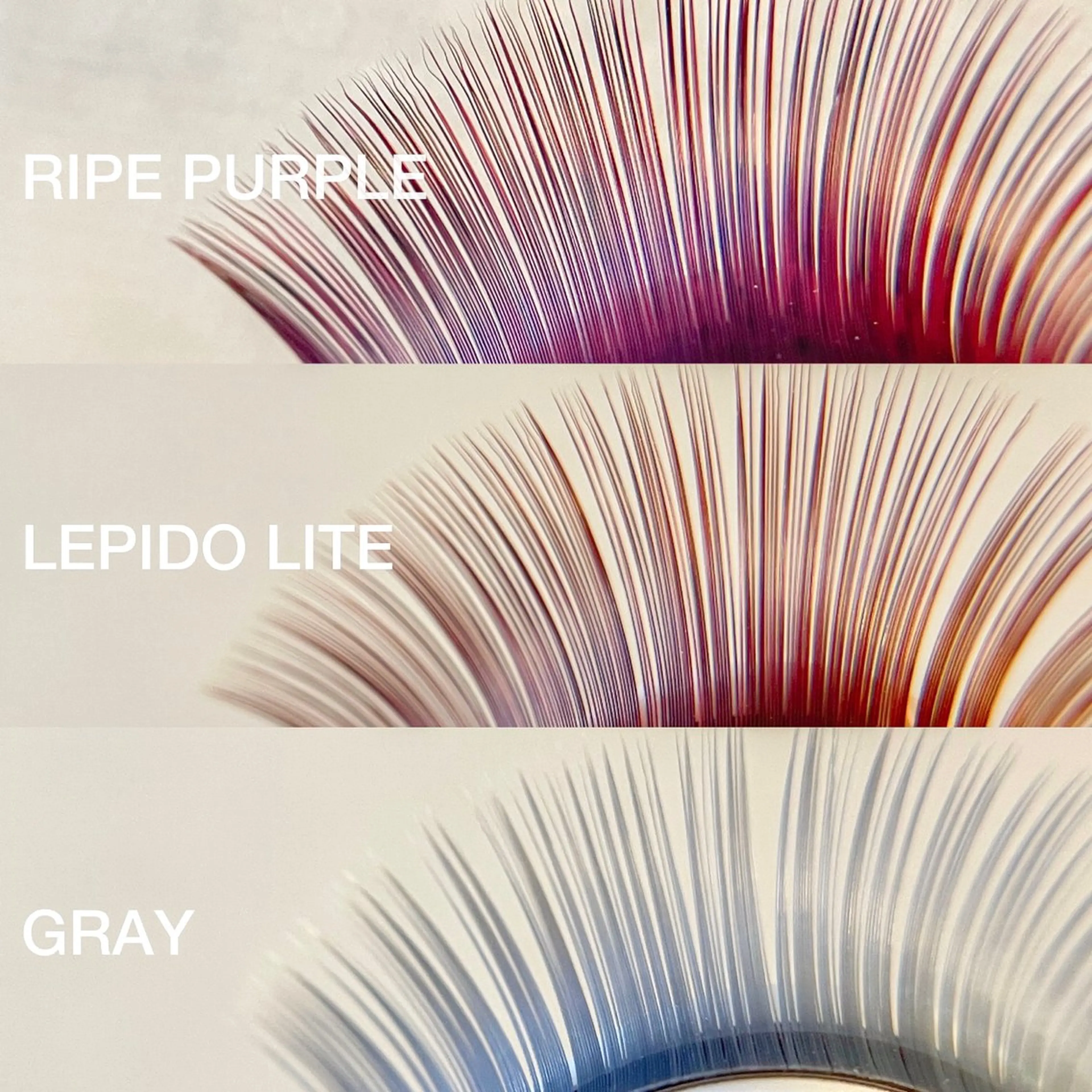 マツエク・マツパ カラーエクステ │千葉中央のマツエク・マツパデザイン