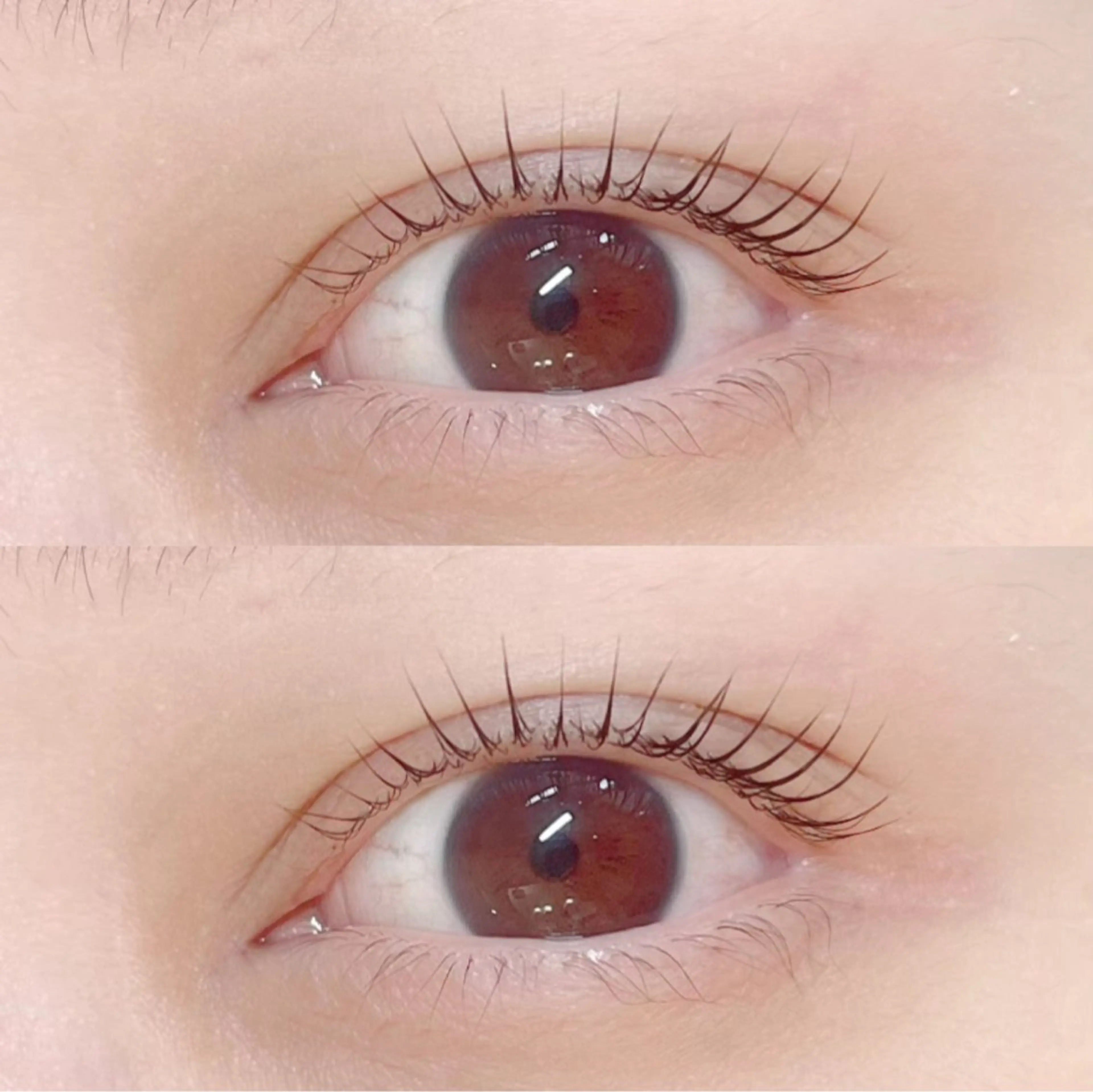 ミニモ限定🌟まつ毛パーマの写真