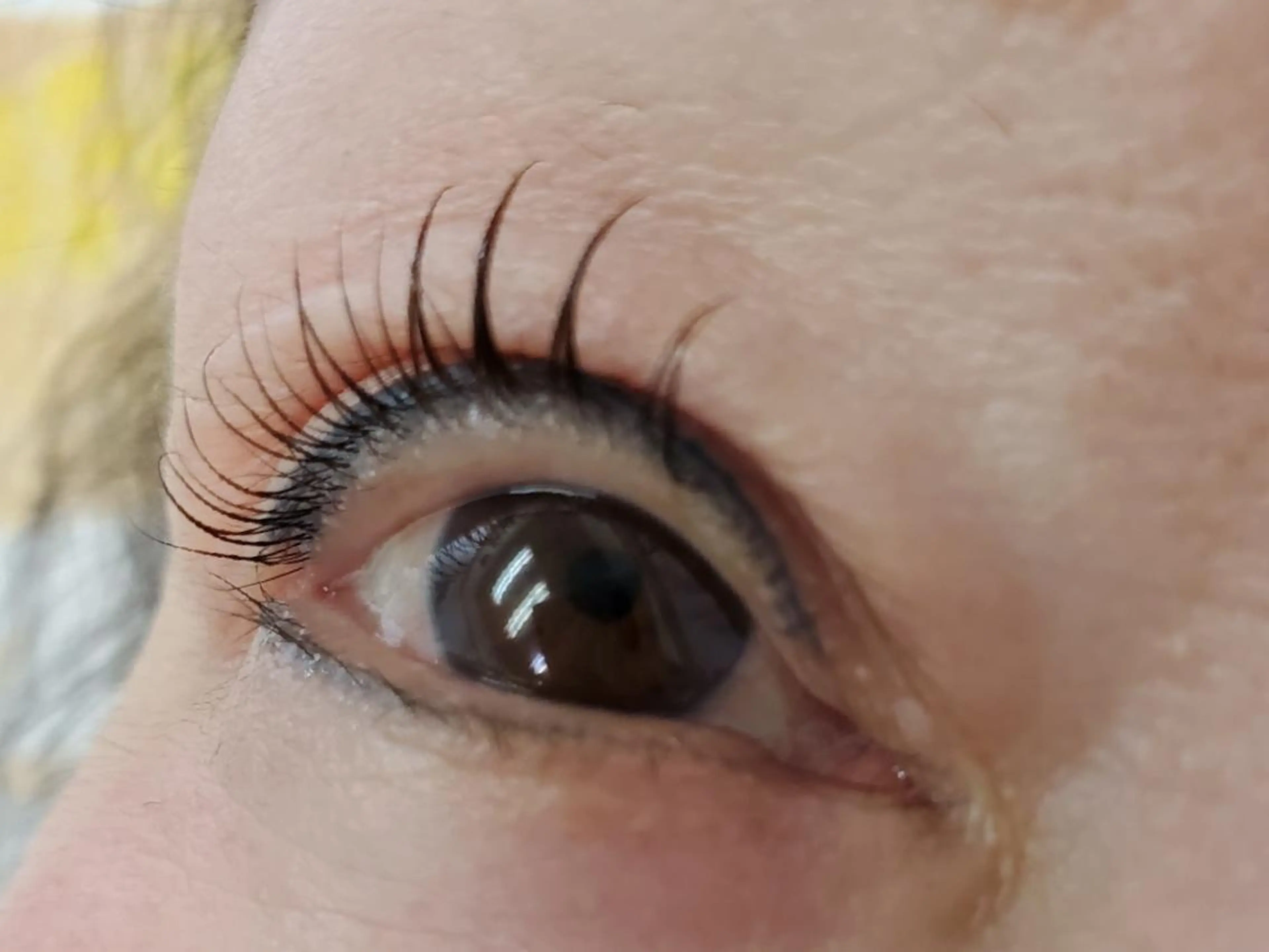 まつげカール&トリートメント.2回分(御本人のみ利用可能)の写真