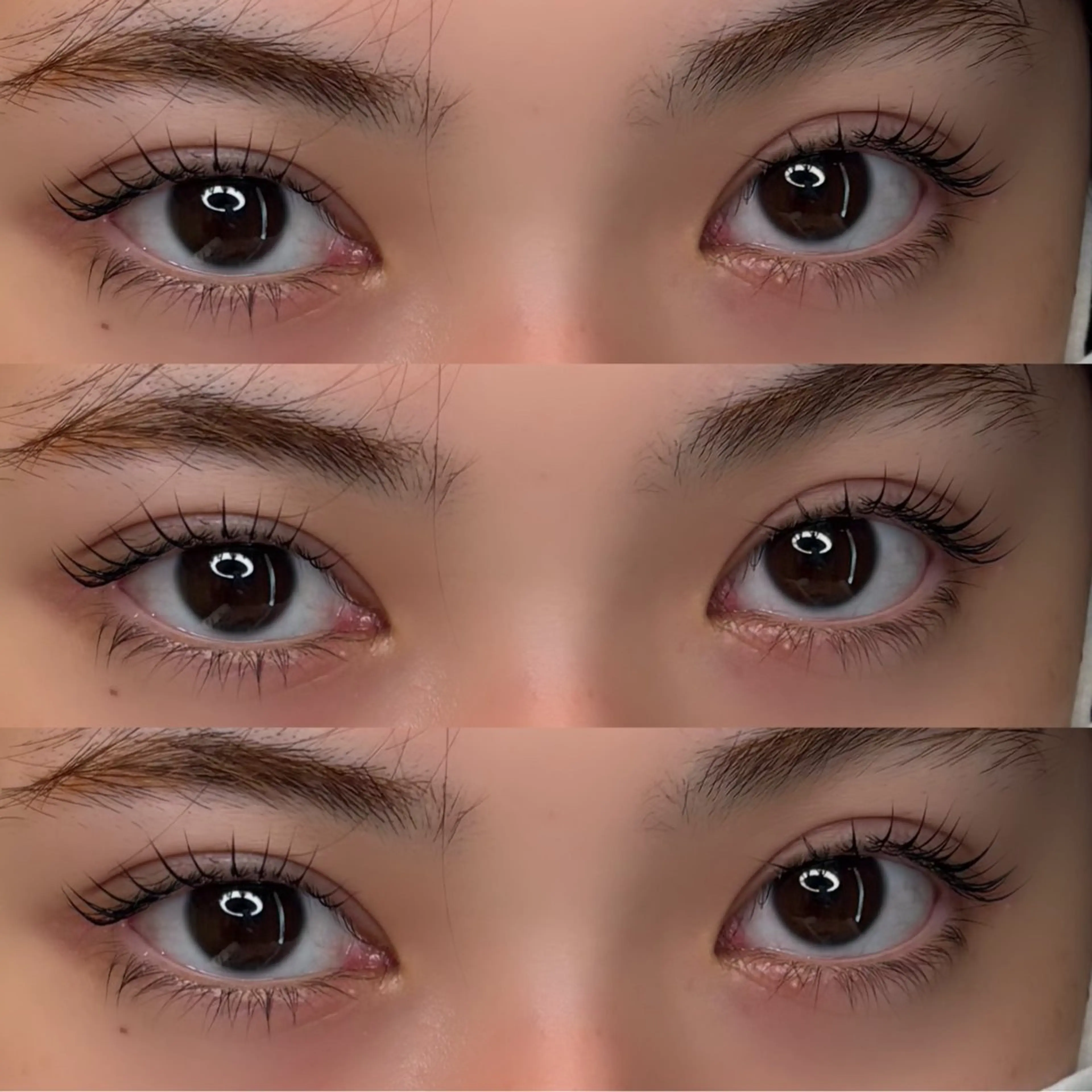 パリジェンヌラッシュリフト【エクステオフあり】+束感コーティング🐈ྀི💗の写真