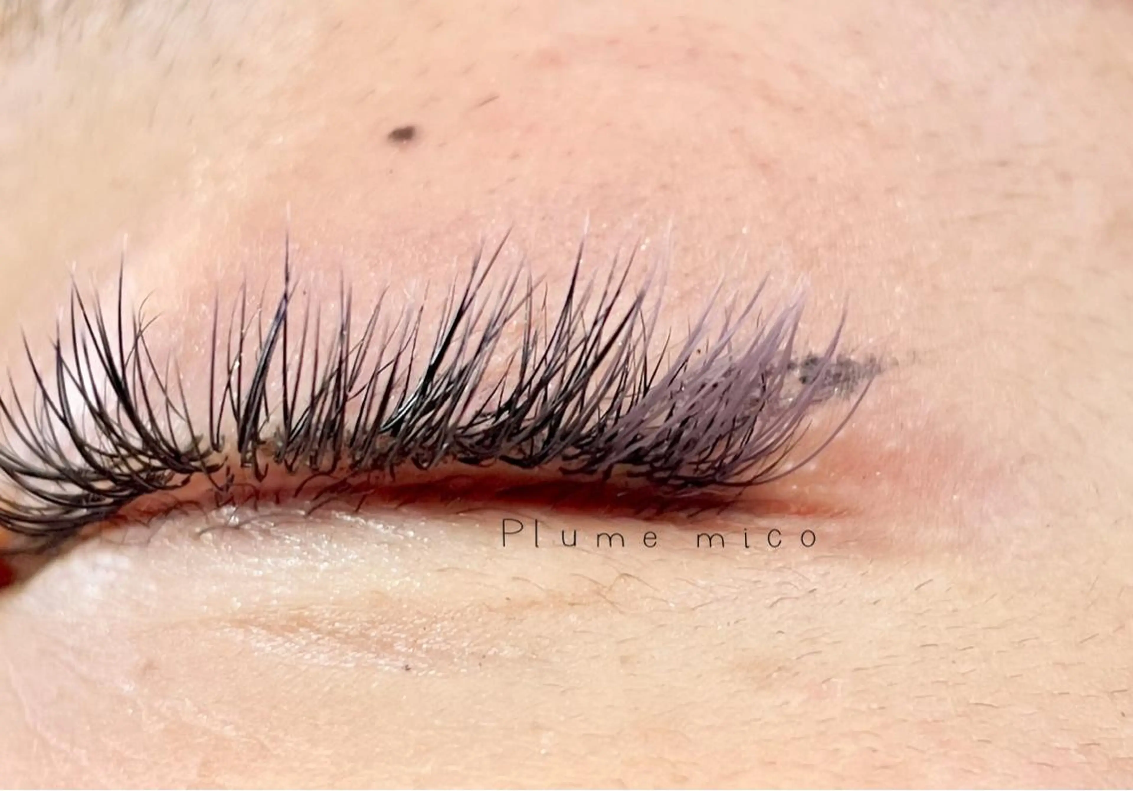 マツエク・マツパ マツエク Plume micoのマツエク・マツパデザイン