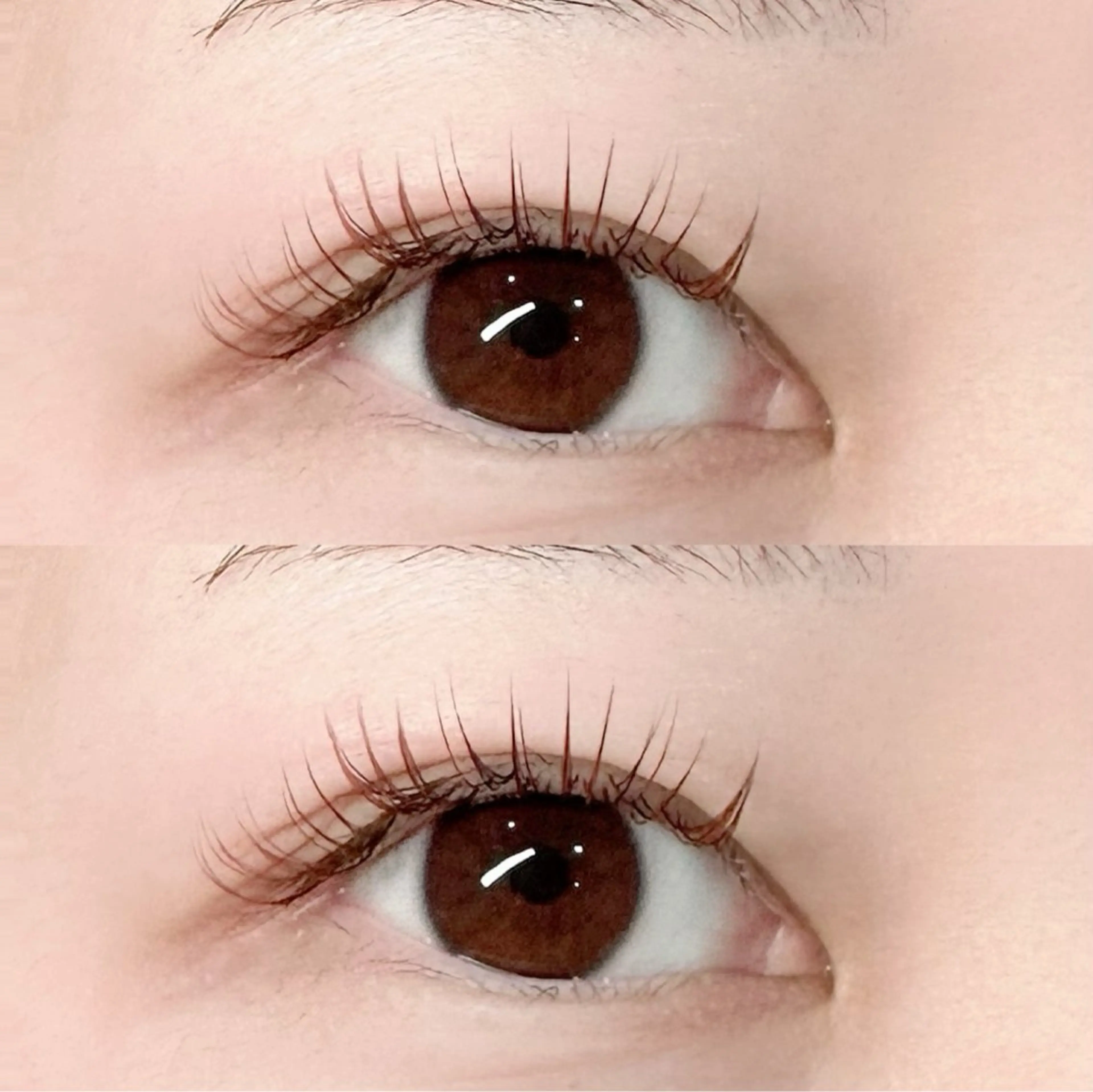 マツエク・マツパ カラーマツエク マツエク ICON.whip所属・Aya ICON.whipのマツエク・マツパデザイン