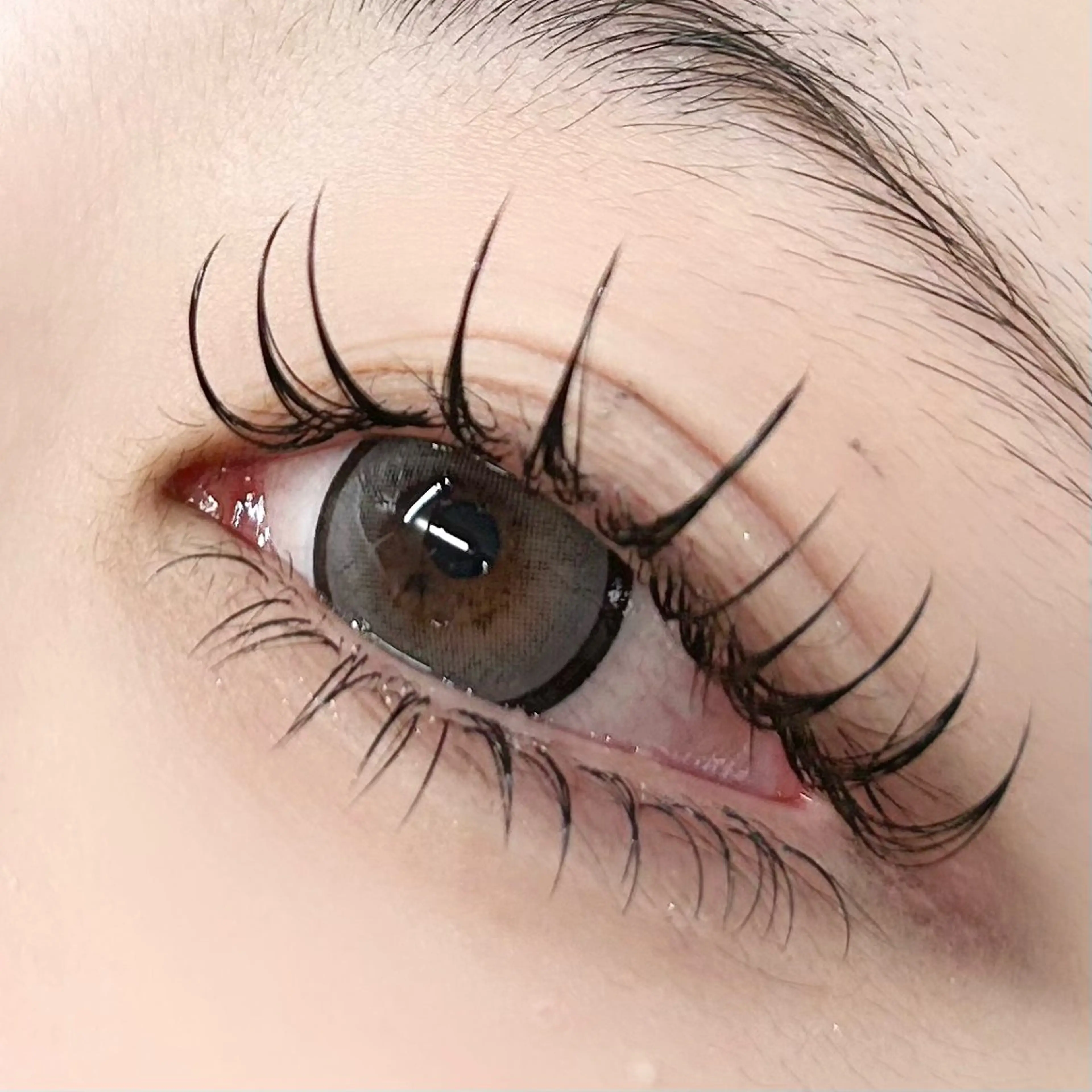 🎀フラットラッシュ上下エクステ⚠️上100本/下40本⚠️詳細必ずご確認ください🎀の写真