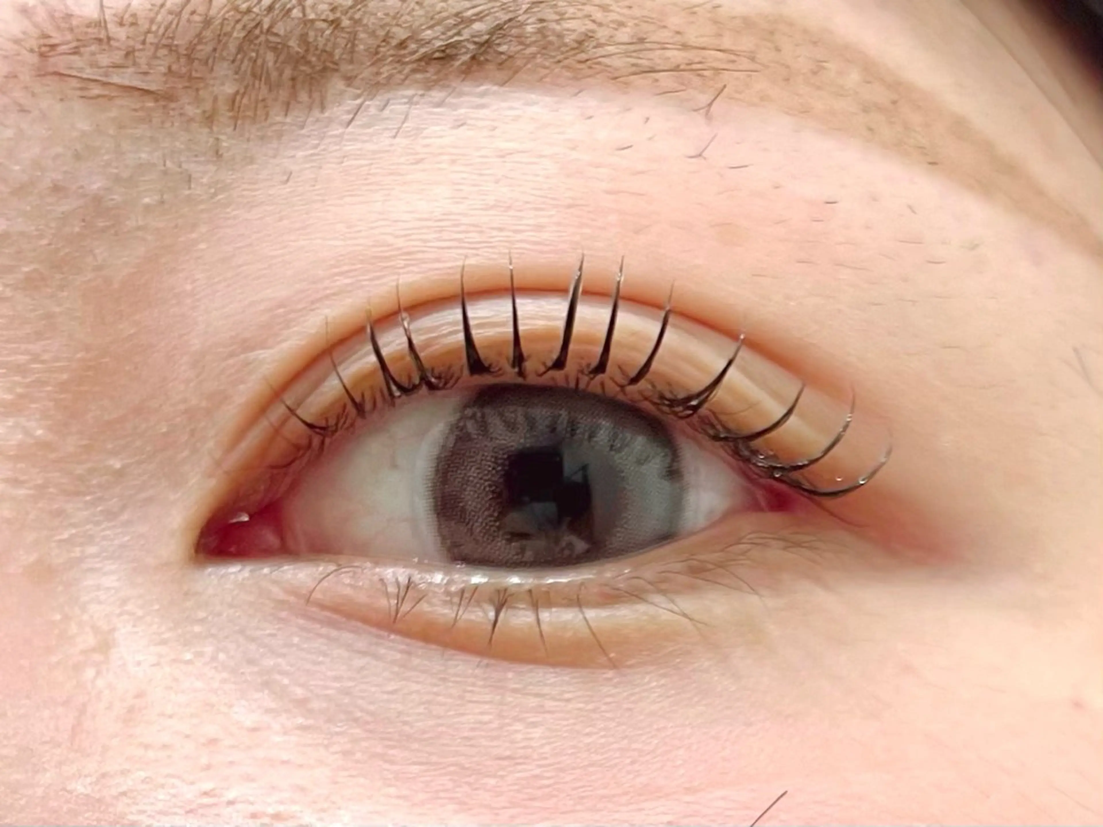 マツエク・マツパ Rabbit MURAlのマツエク・マツパデザイン