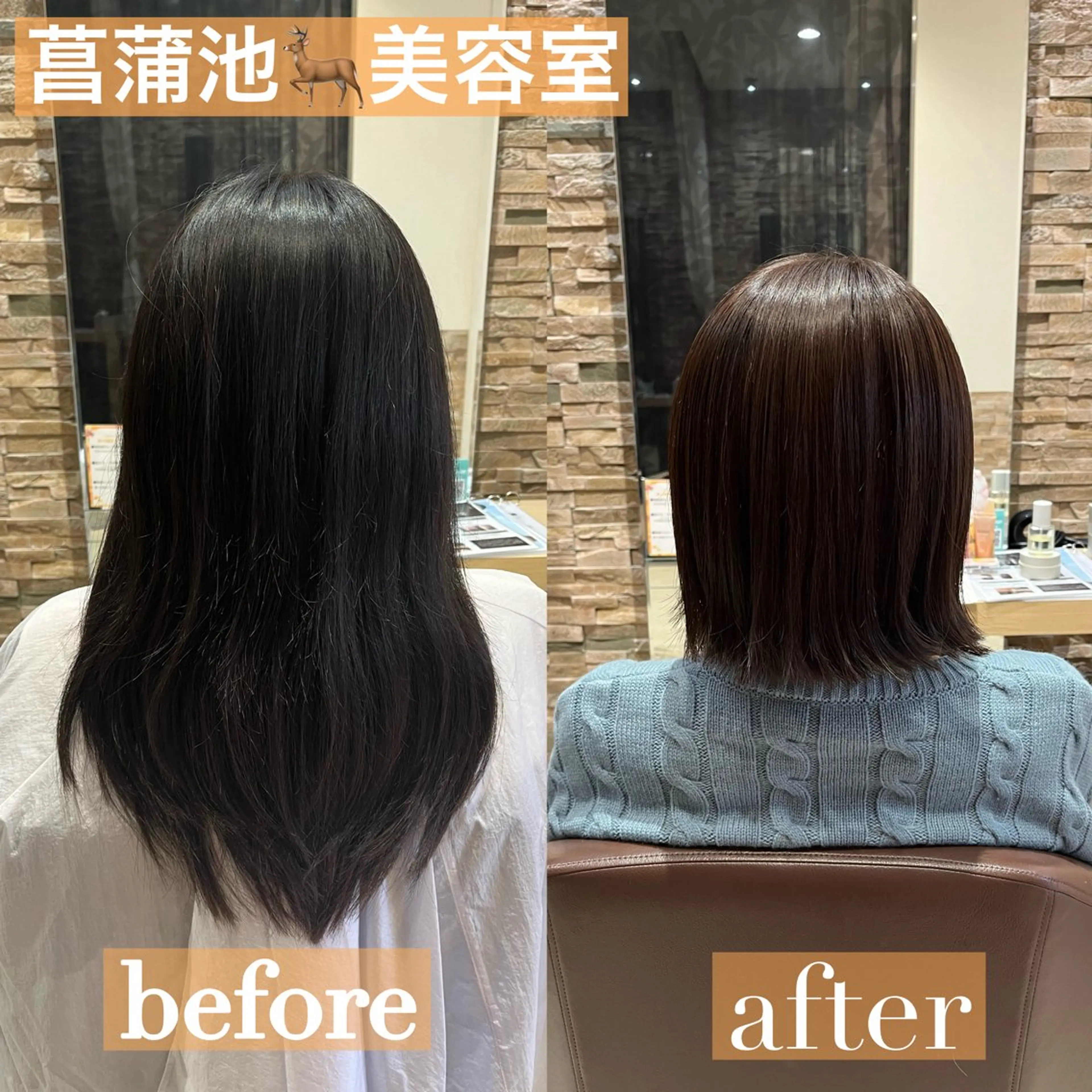 ミディアム 加野 舞のヘアスタイル